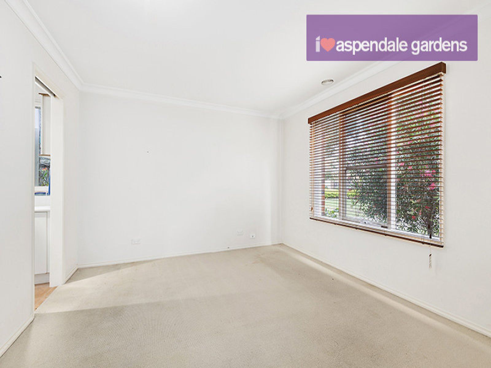 15 Carpentaria Court, Aspendale Gardens, VIC 3195, Aspendale Gardens - Thumbnail 5