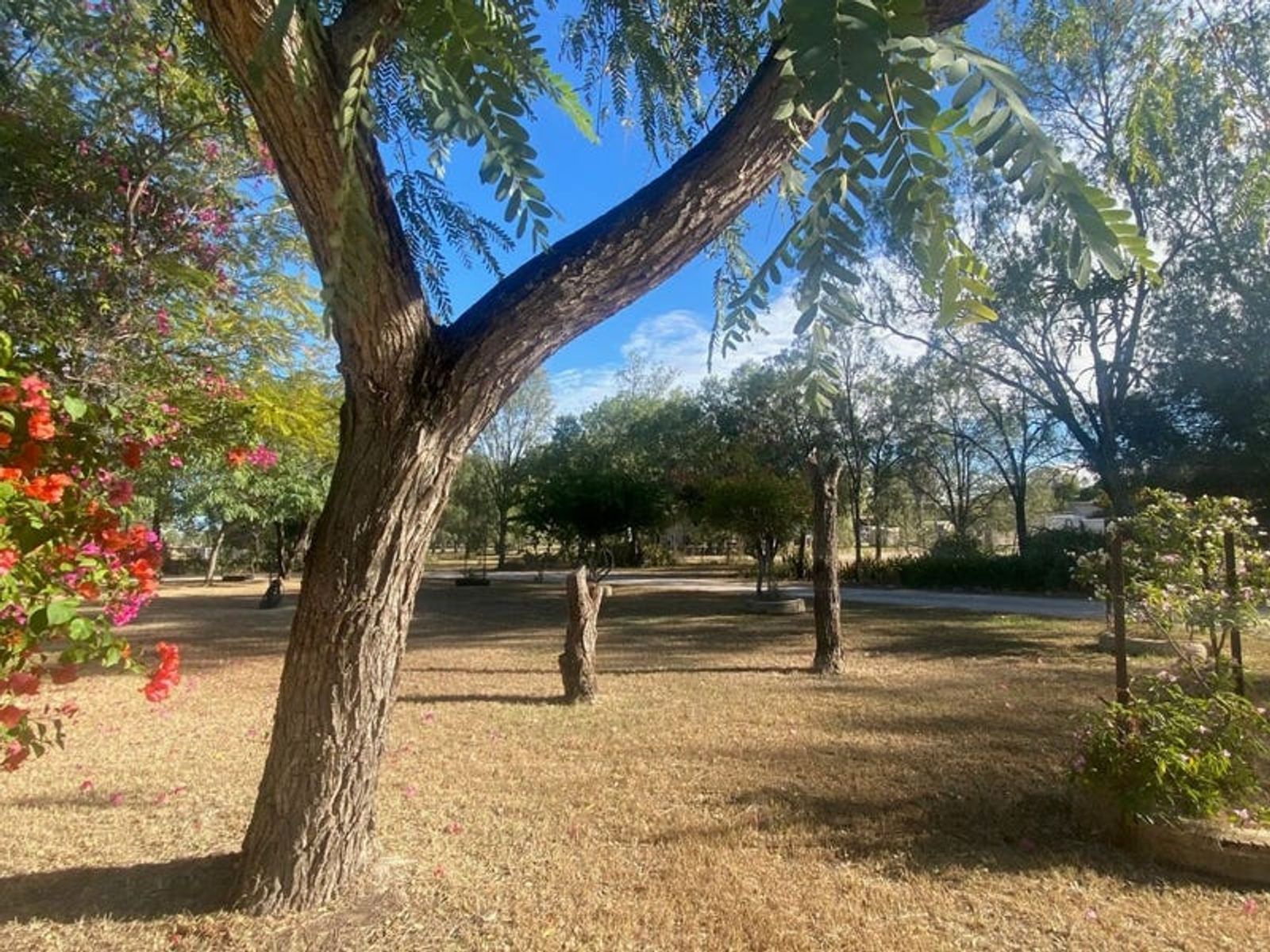 63 Kurtz Street, Chinchilla QLD 4413, Chinchilla - Thumbnail 4