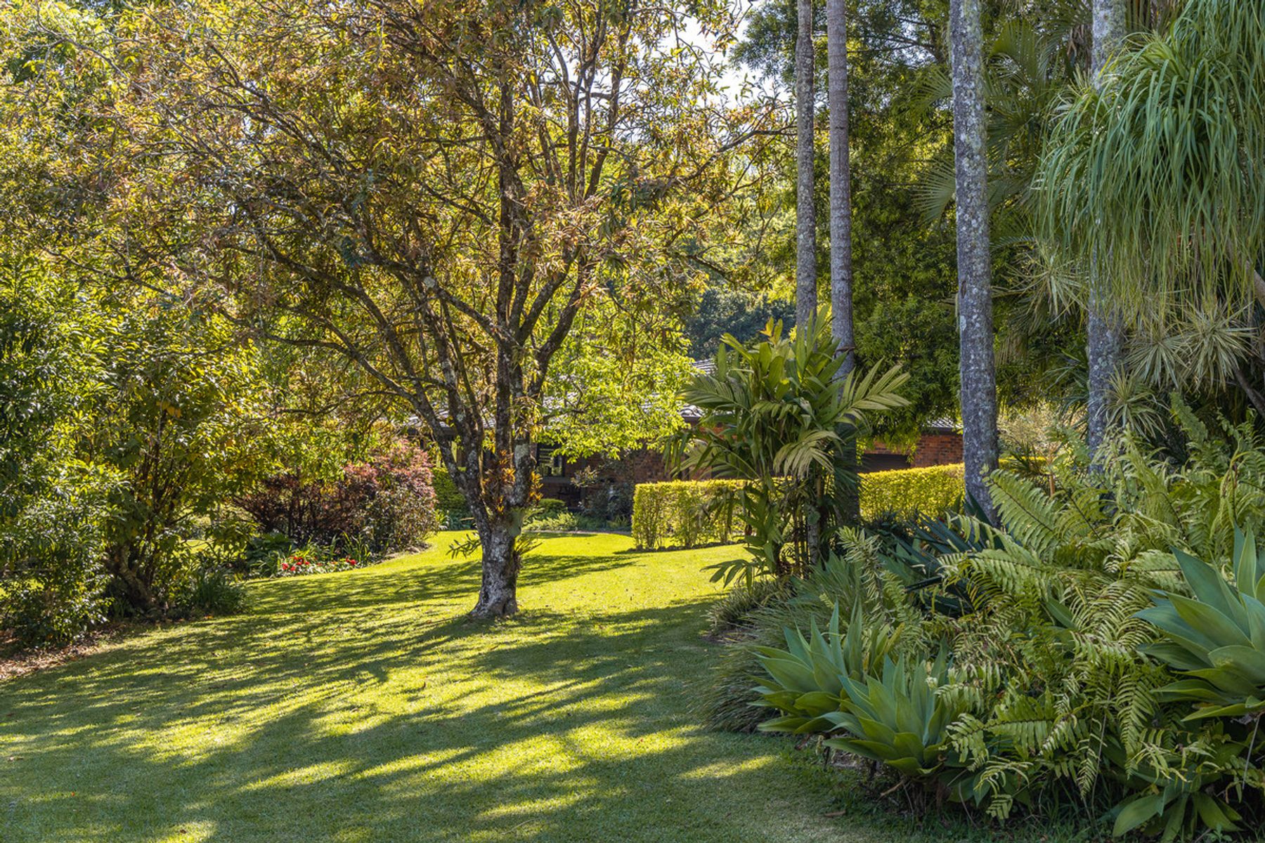 4 Ryces Drive, Clunes NSW 2480, Clunes - Thumbnail 7