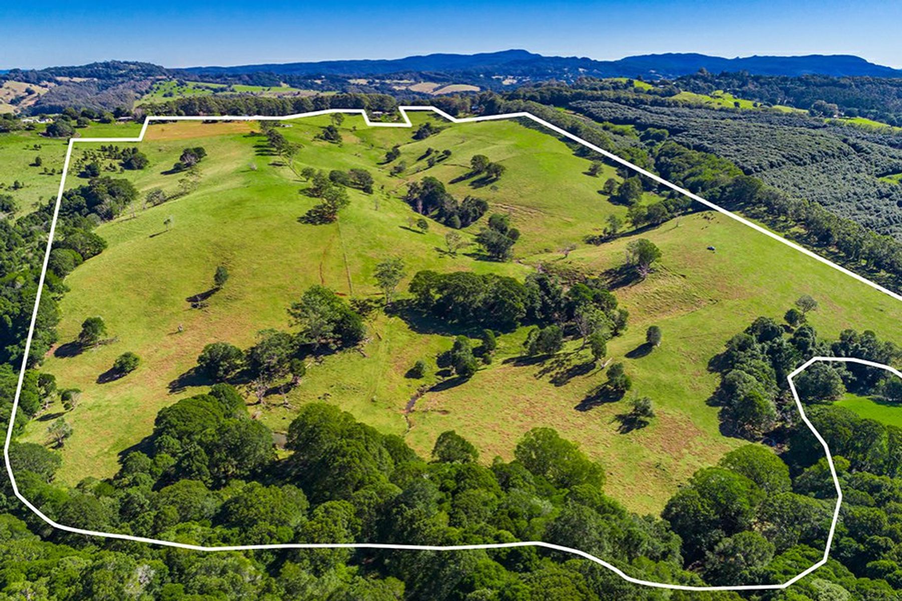 320 Coorabell Road, Coorabell - Thumbnail 4