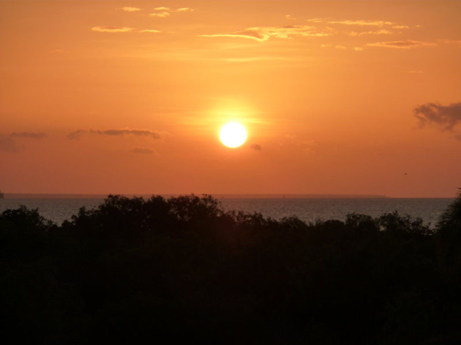 5/33 Sunset Drive, Coconut Grove NT 0810, Coconut Grove - Thumbnail 7