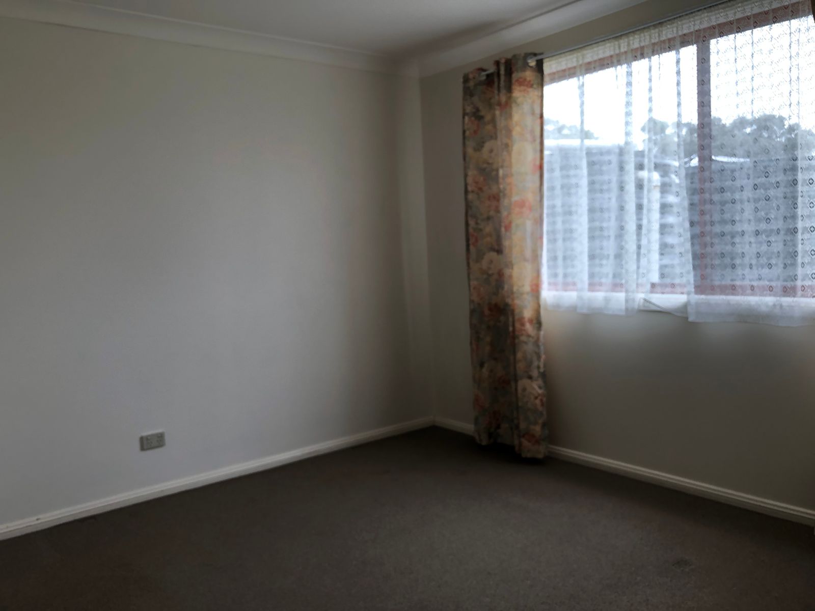 2 Brereton Street, Hillgrove NSW 2350, Hillgrove - Thumbnail 6
