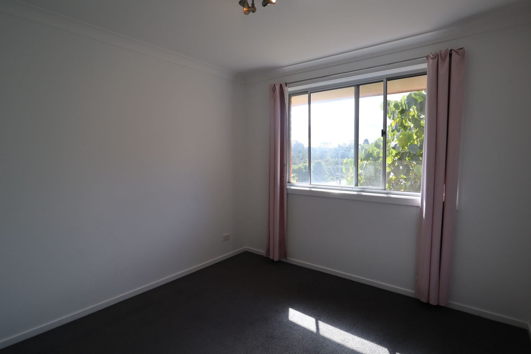 103 Brunswick Street, Lismore NSW 2480, Lismore - Thumbnail 6