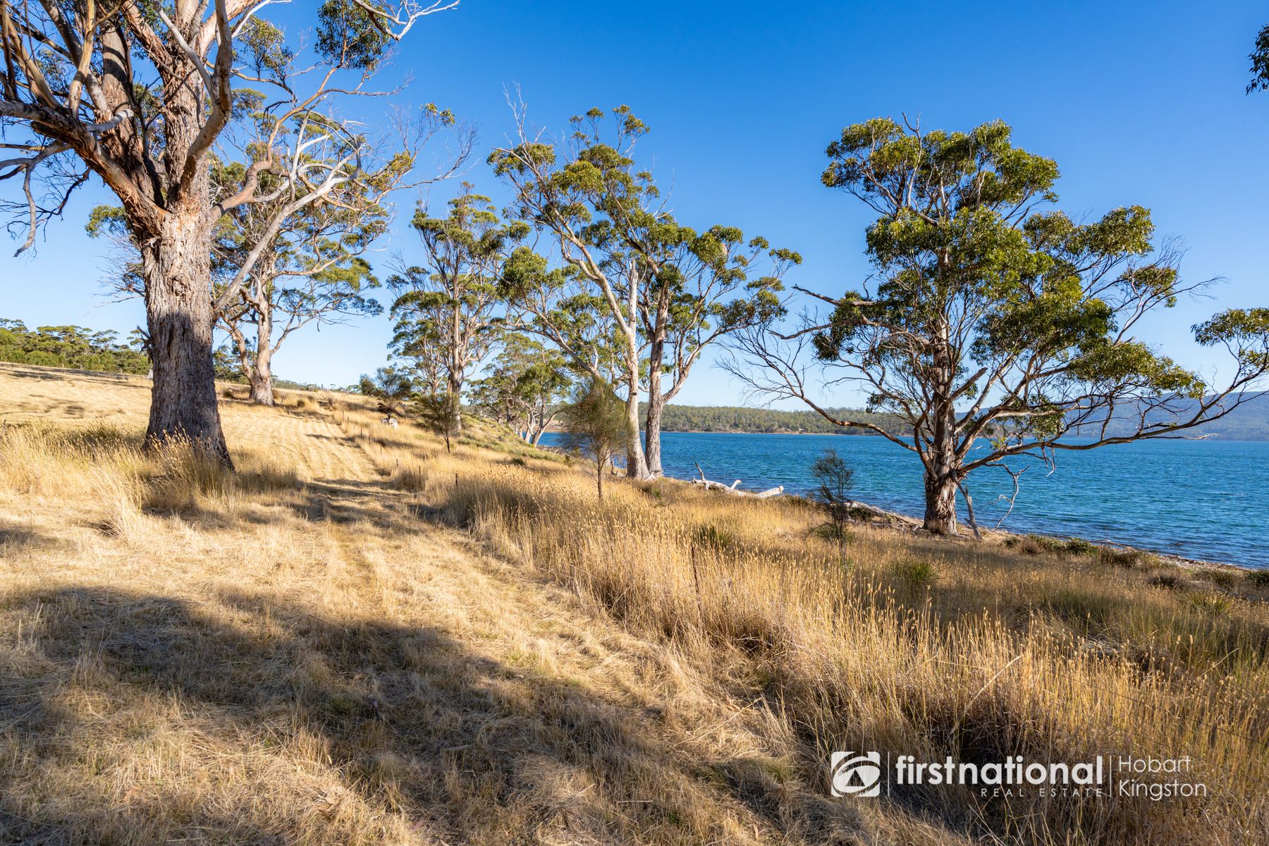 Lot 15 & 17, 32 Apollo Bay Road, North Bruny TAS 7150, North Bruny - Thumbnail 8