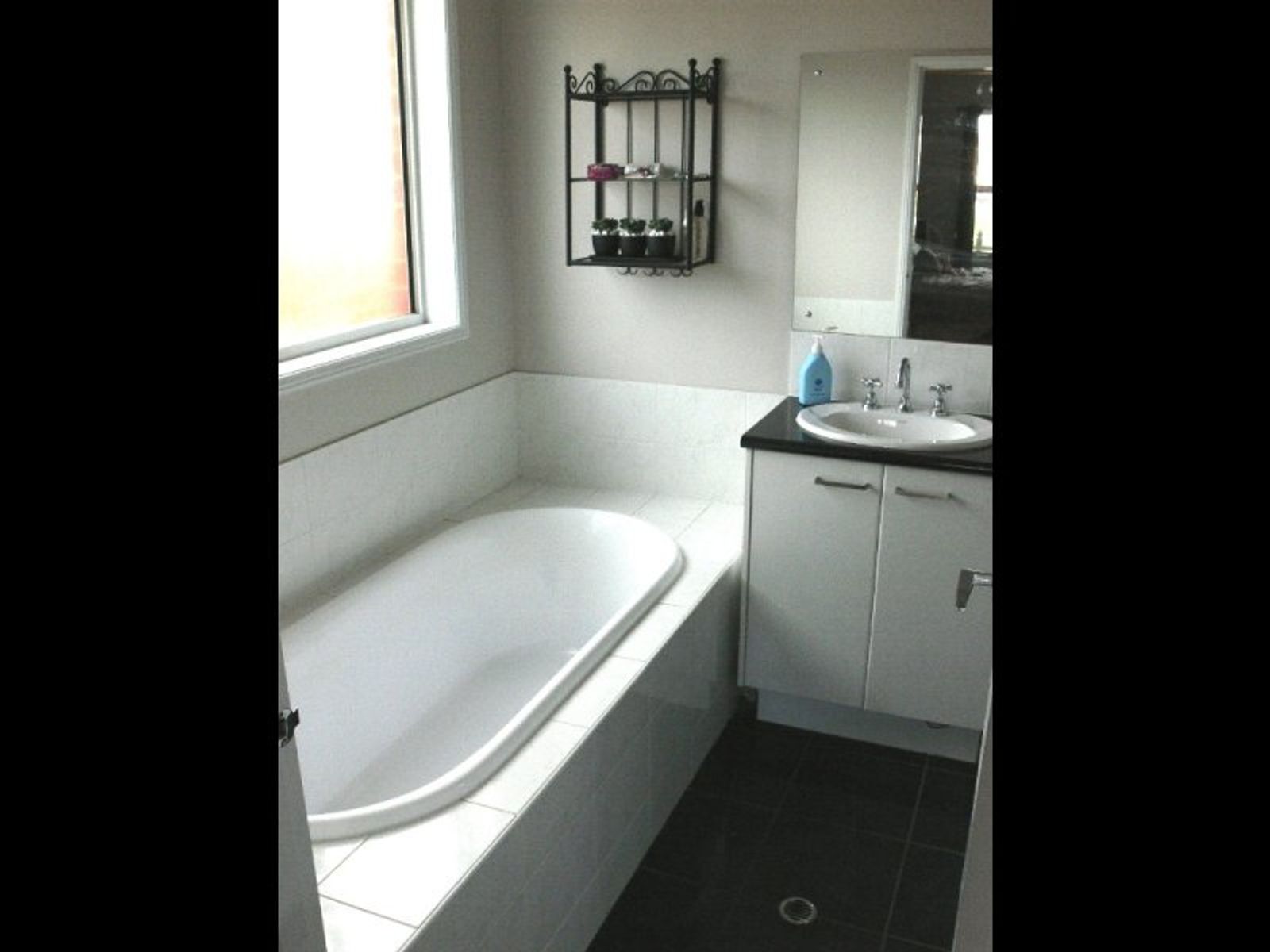 19 Heard Street, Mawson Lakes, SA 5095, Mawson Lakes - Thumbnail 5