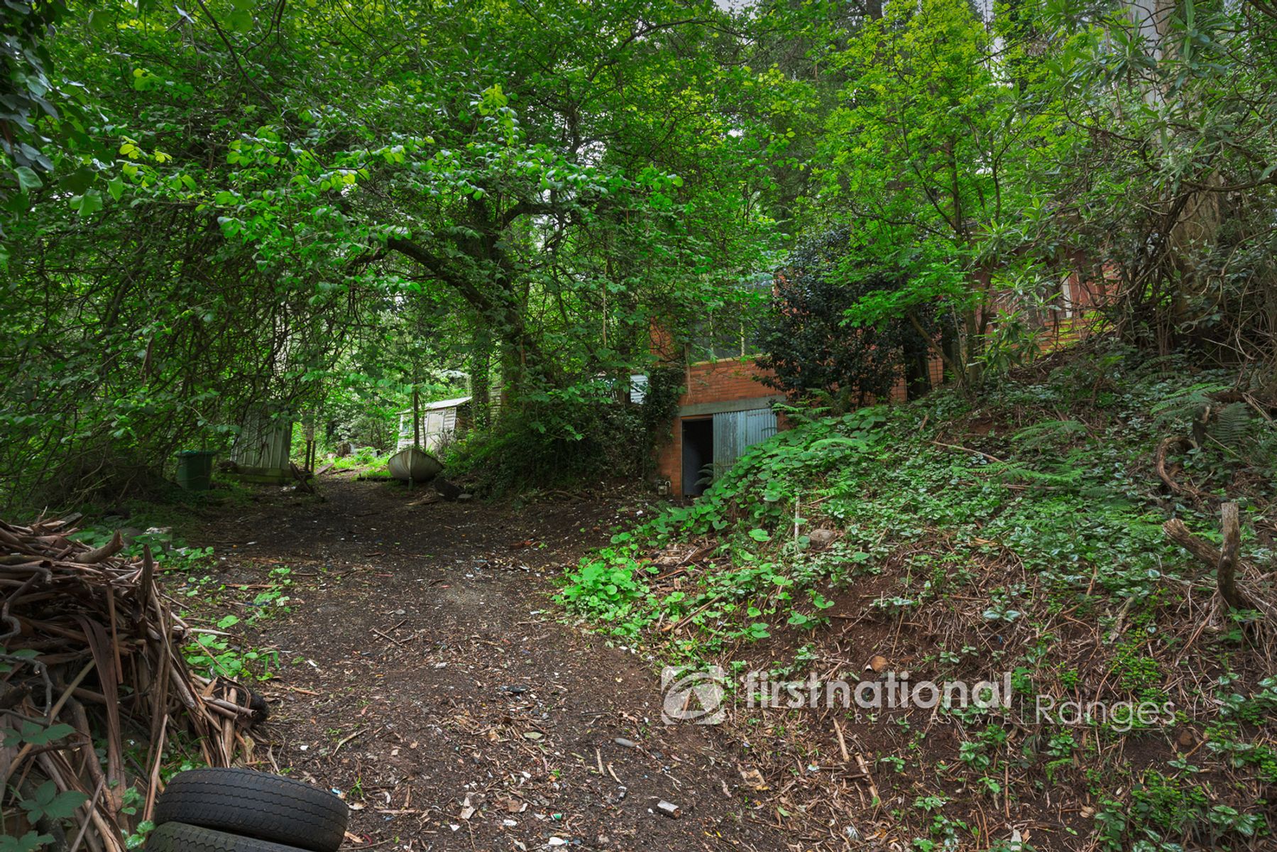 10 Titania Crescent, Tremont VIC 3785, Tremont - Thumbnail 4