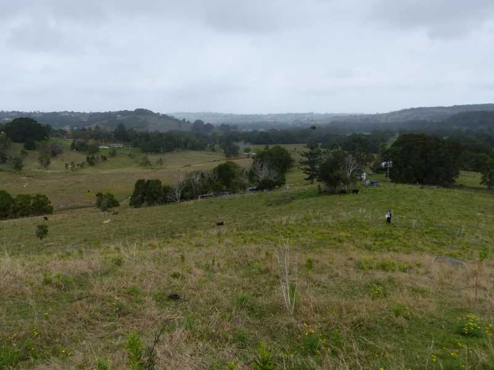 40 Fairfull Road, Numulgi - Thumbnail 5