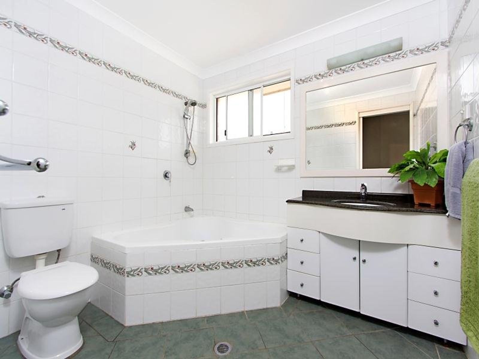 Emu Plains NSW 2750, Emu Plains - Thumbnail 2