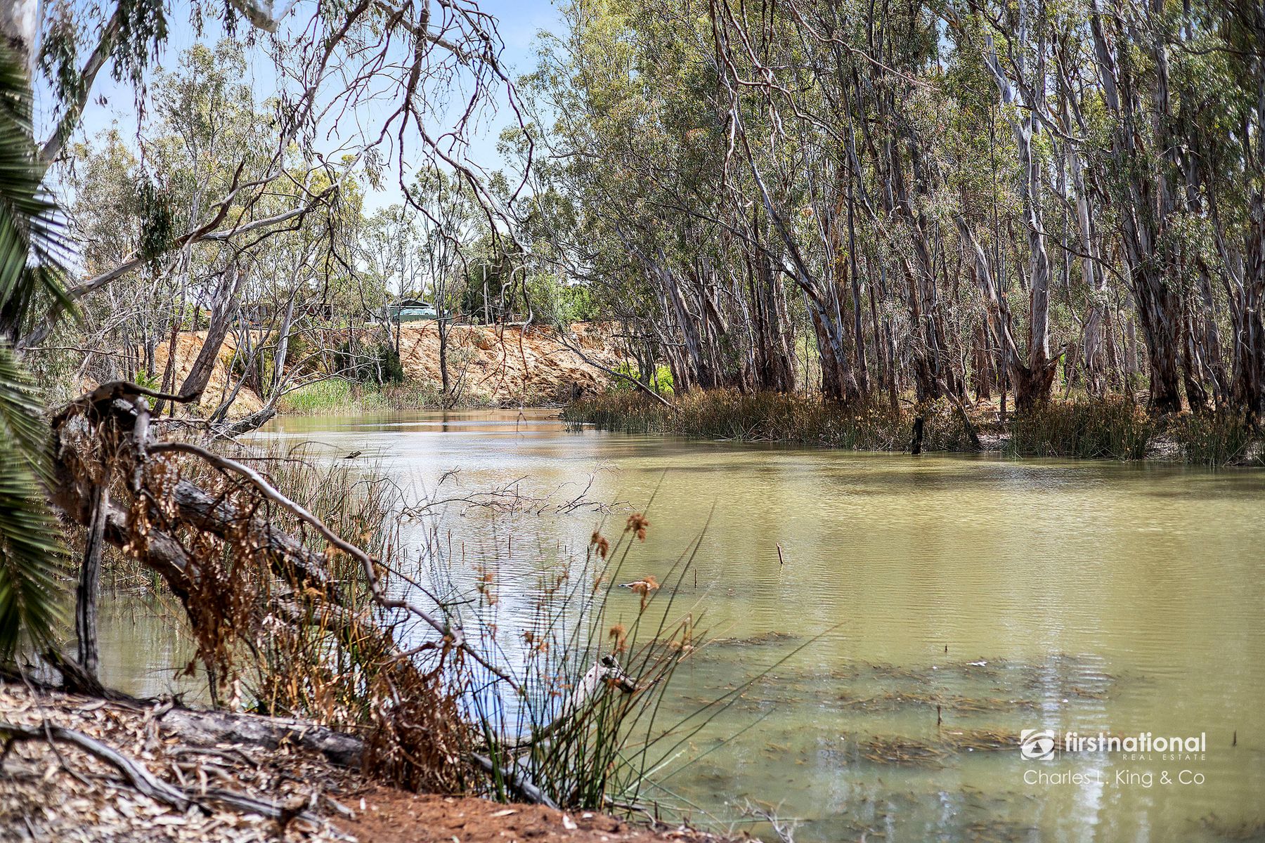 3932 Cobb Highway, Mathoura NSW 2710, Mathoura - Thumbnail 4