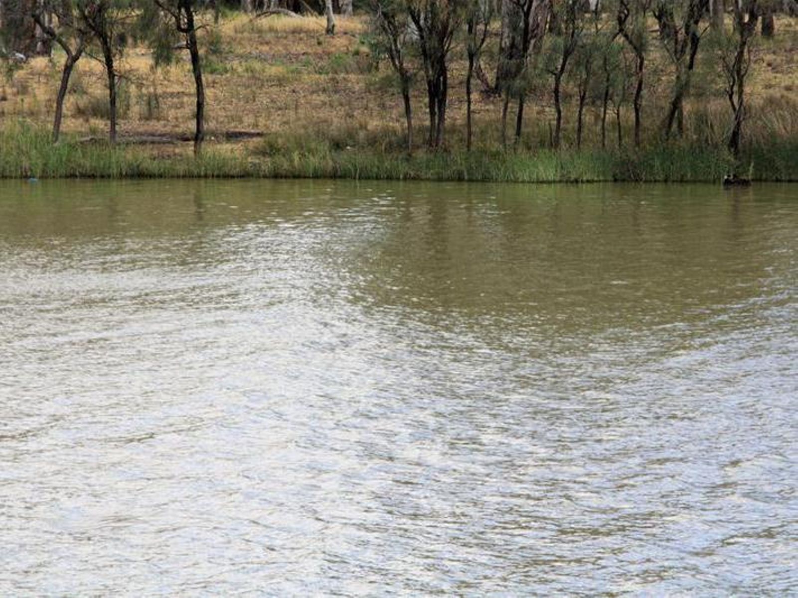 44 River Drive, Buronga - Thumbnail 3
