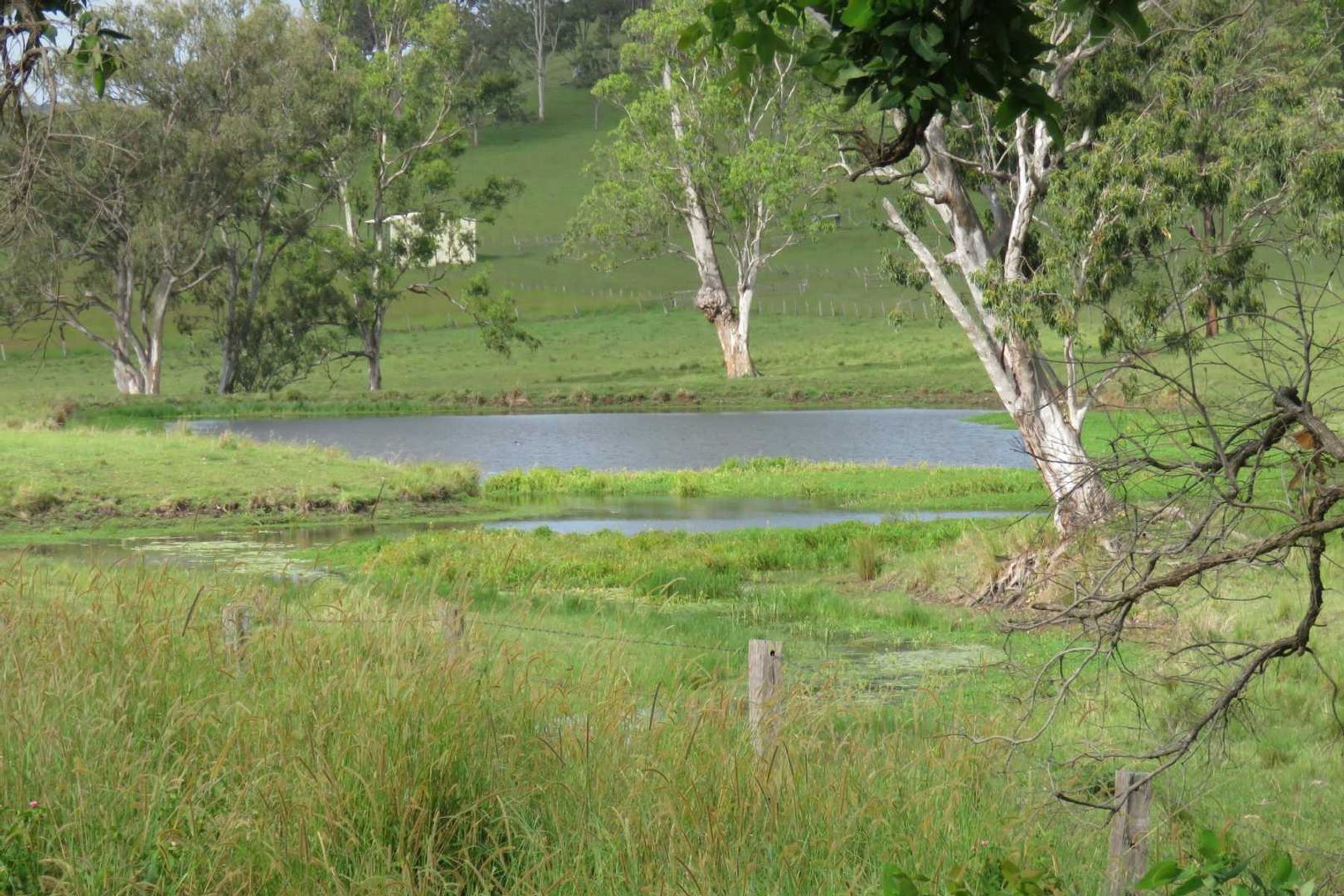 685 Spring Grove Road, Spring Grove, NSW 2470, Spring Grove - Thumbnail 8