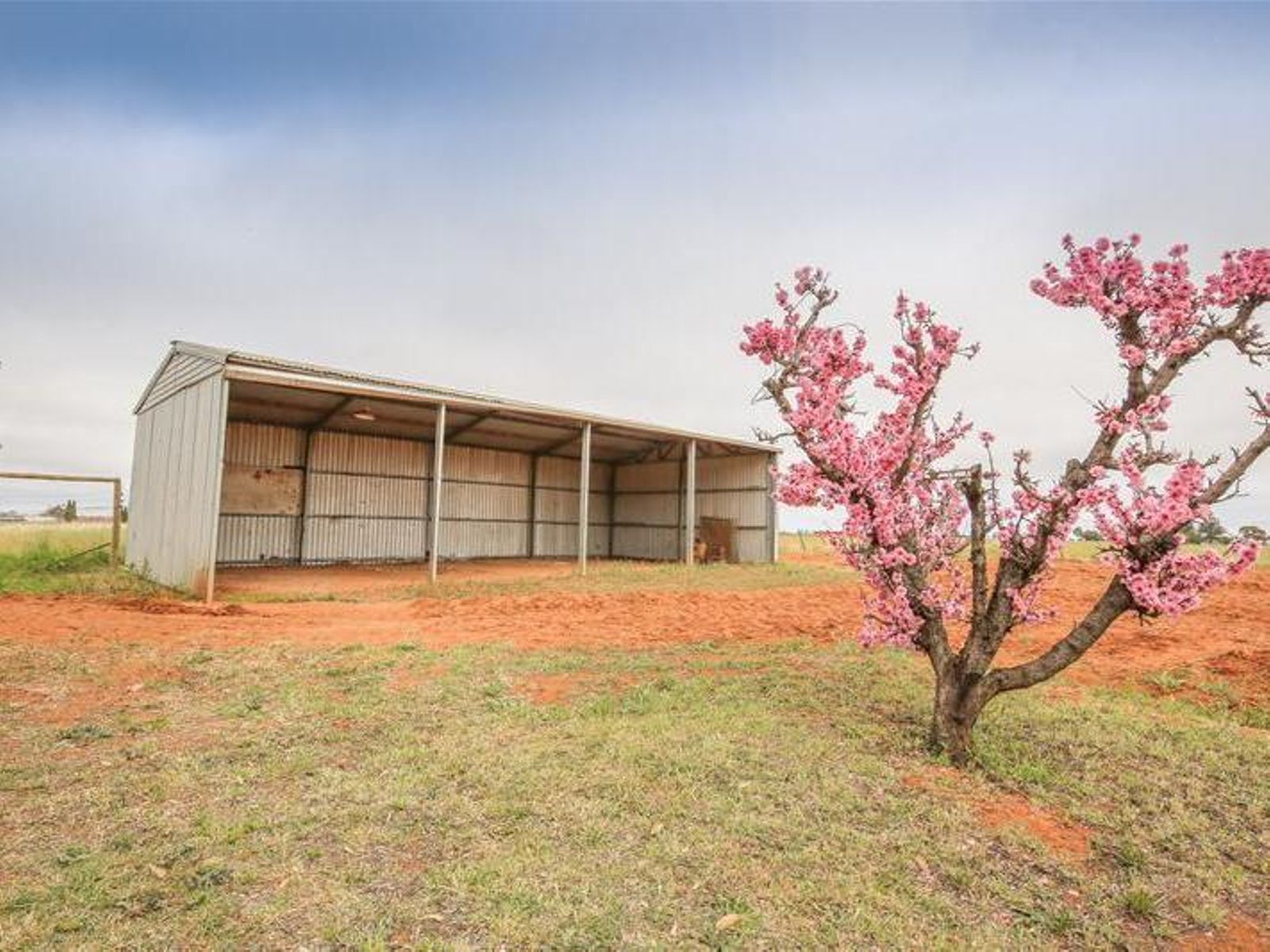 687-695 Cowra Avenue, Mildura - Thumbnail 8