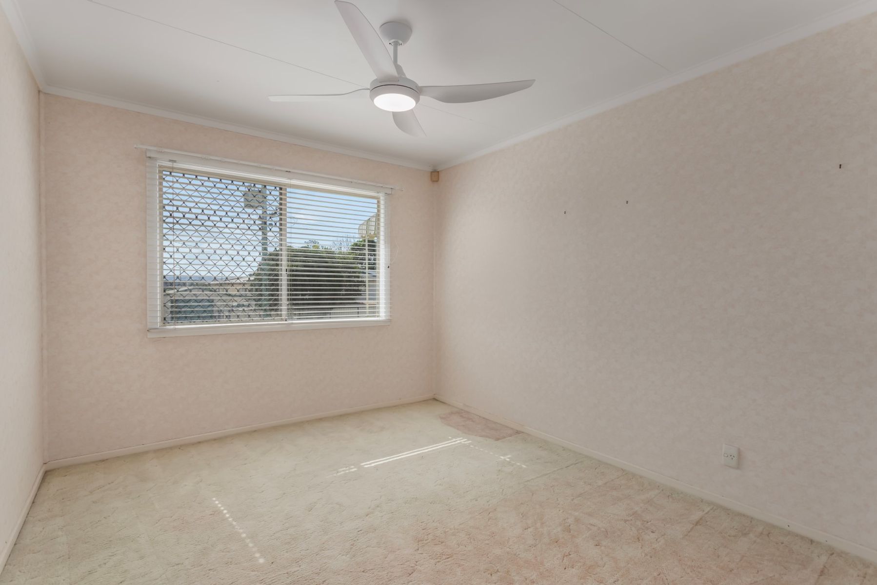 39 Harding Street, Raceview QLD 4305, Raceview - Thumbnail 8