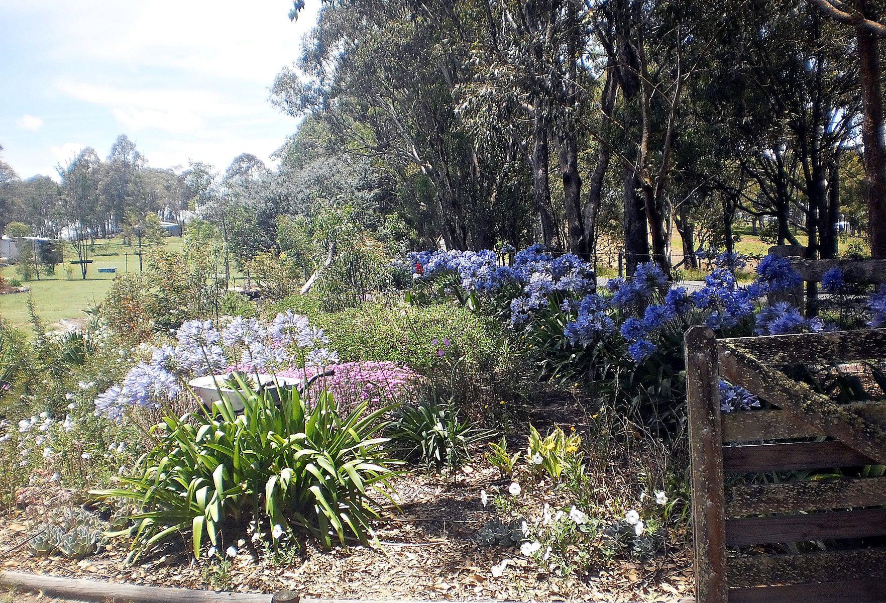 698 Bryans Gap Road, Tenterfield NSW 2372, Tenterfield - Thumbnail 2