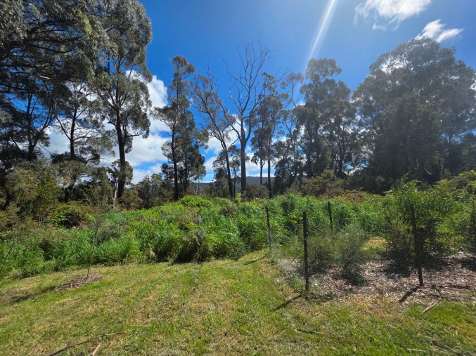 Mole Creek TAS 7304, Mole Creek - Thumbnail 7