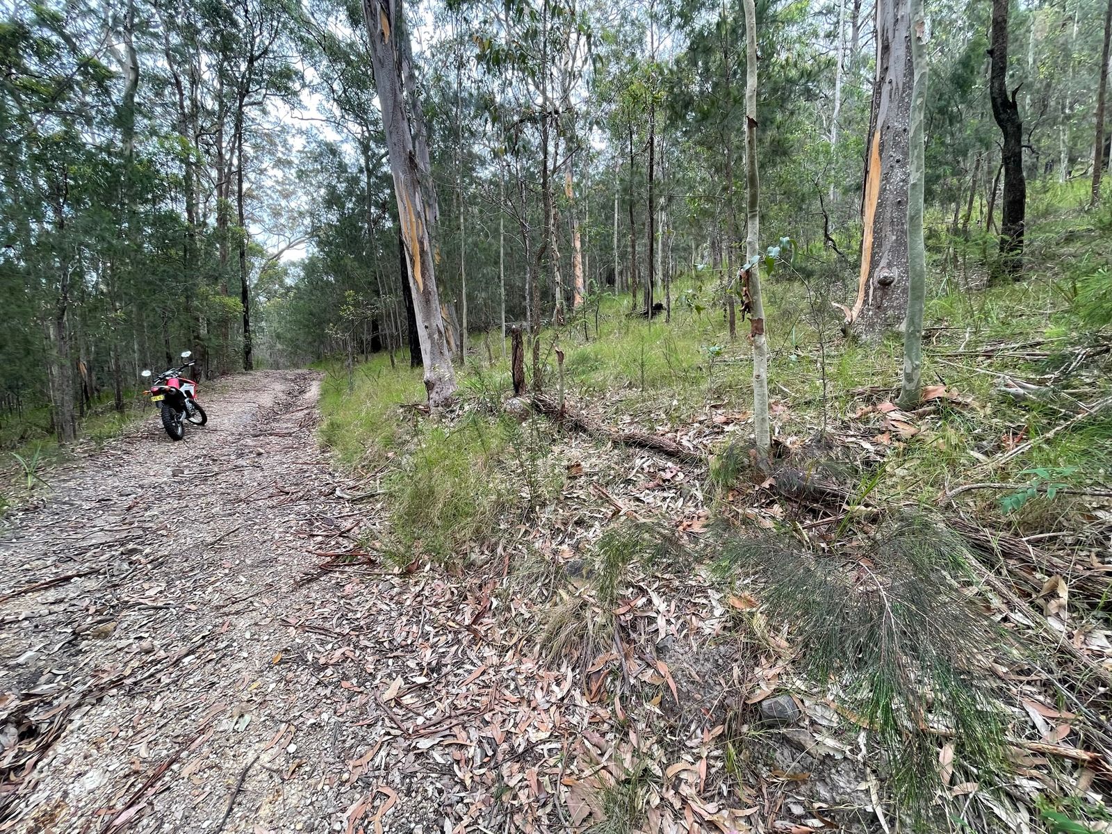 Lot 761 Tenterfield Road, North Arm Cove NSW 2324, North Arm Cove - Thumbnail 2