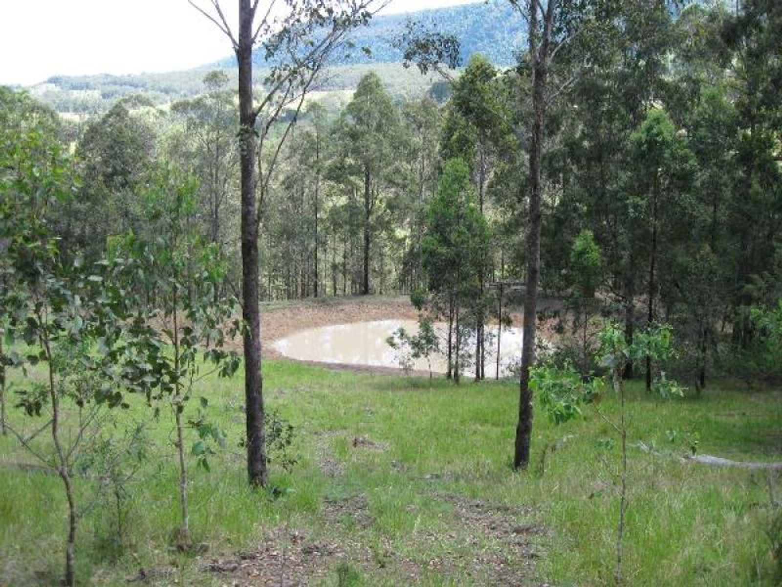 Old Bonalbo NSW 2469, Old Bonalbo - Thumbnail 5