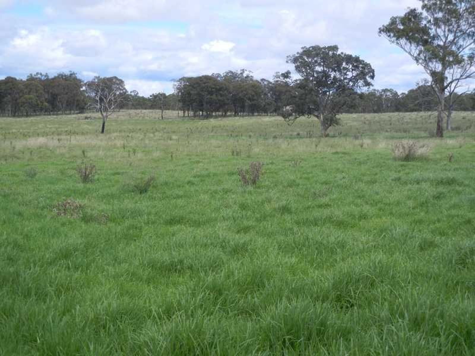 Warwick QLD 4370, Warwick - Thumbnail 4