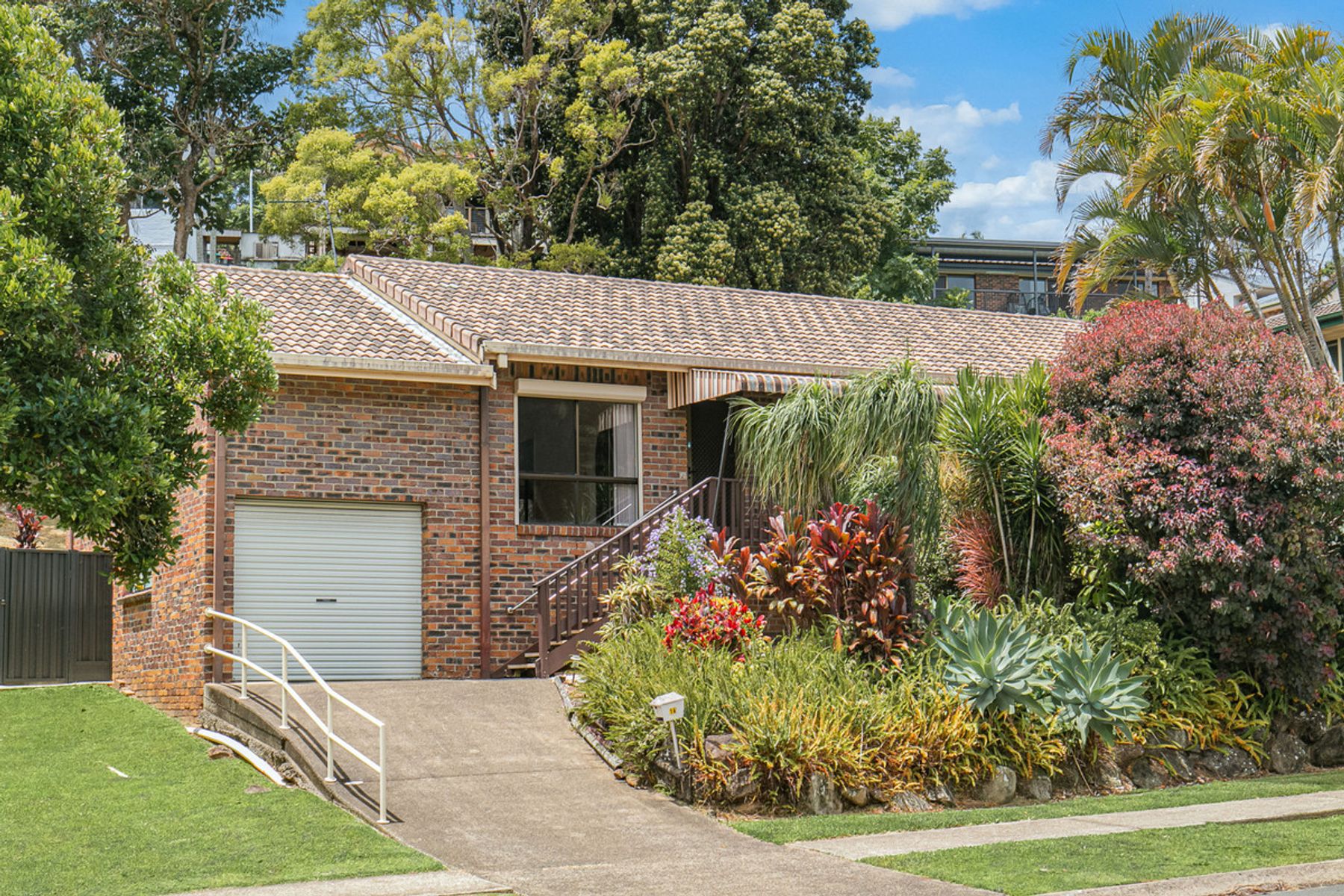 16 Toolona Avenue, Banora Point NSW 2486, Banora Point - Thumbnail 2