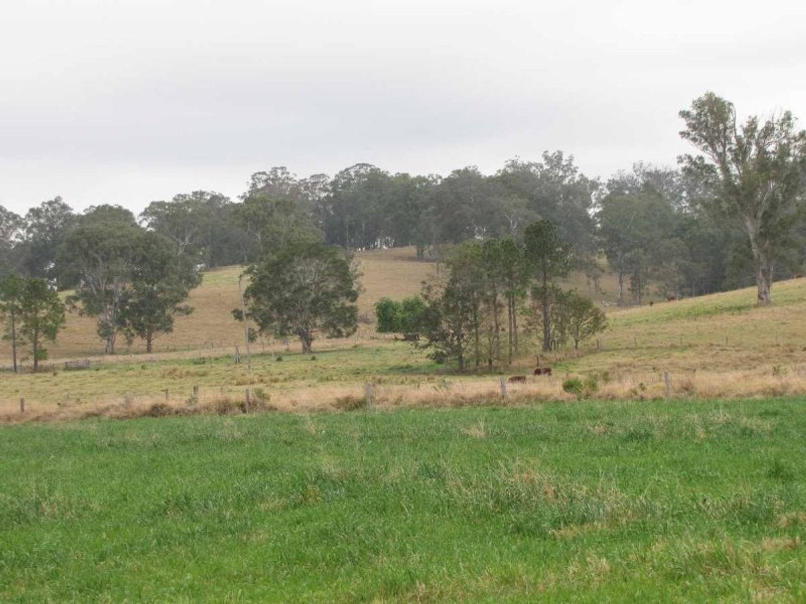 271 Bingeebeebra Creek Road, Mummulgum - Thumbnail 8