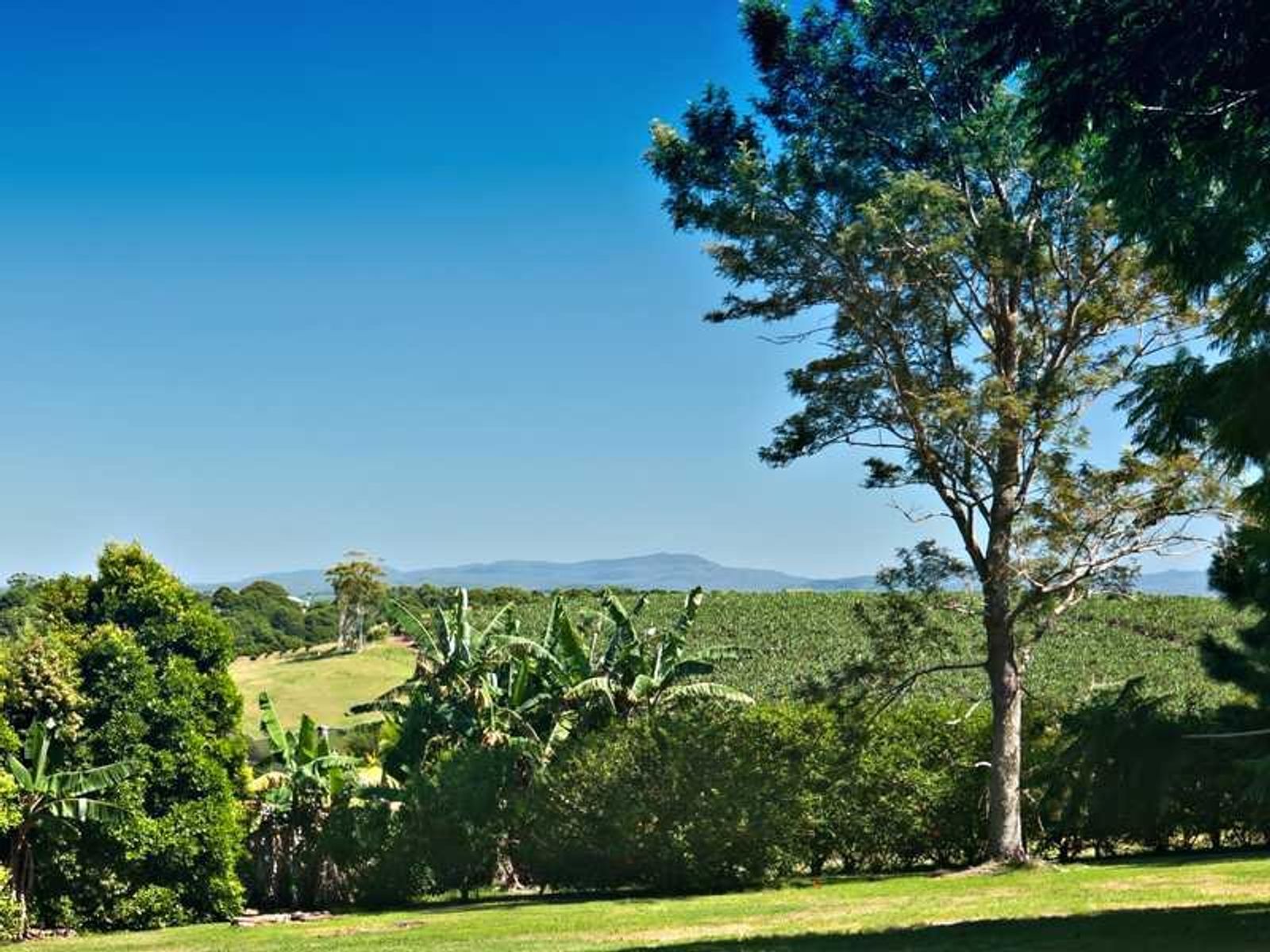 125 Broken Head Road, Newrybar, NSW 2479, Newrybar - Thumbnail 5