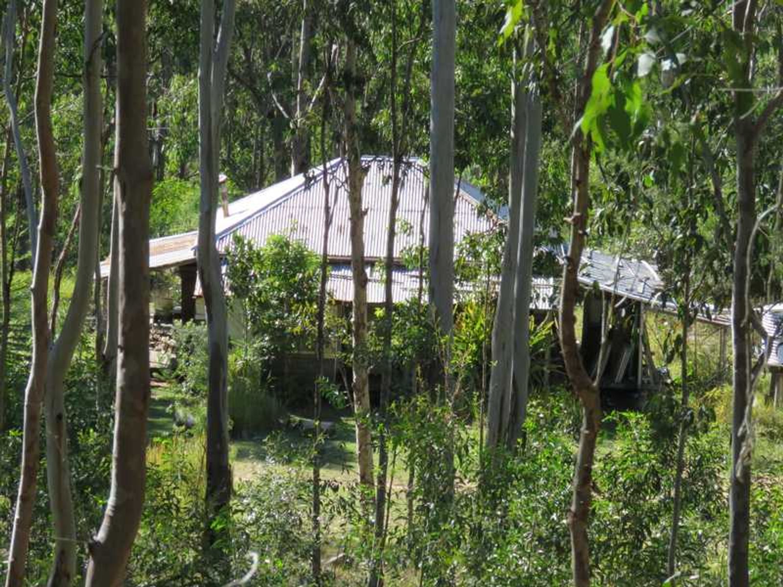 Lot 181 Sugarbag Road, Tabulam - Thumbnail 6