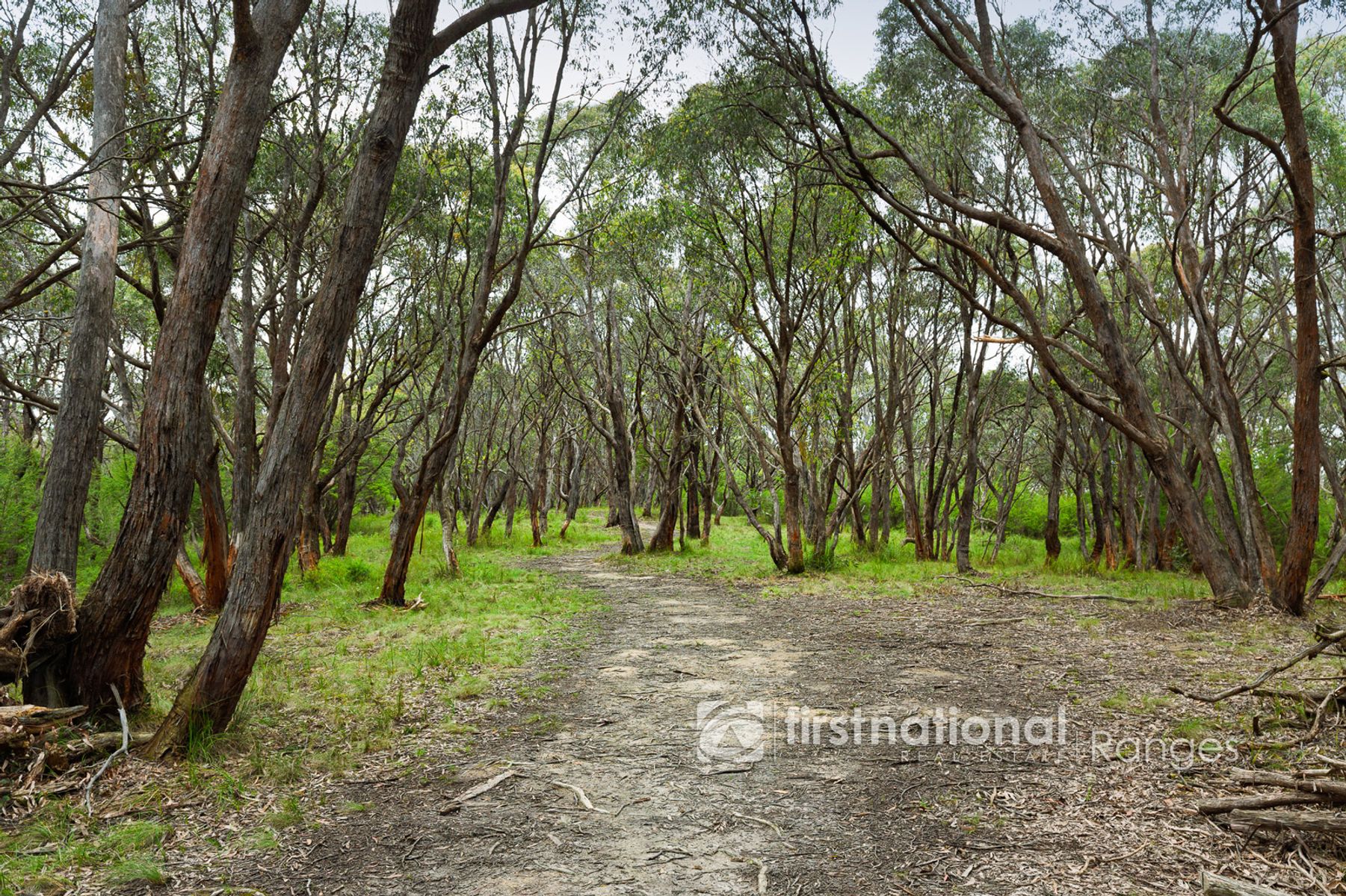 50 Bedford Road, Cockatoo VIC 3781, Cockatoo - Thumbnail 4