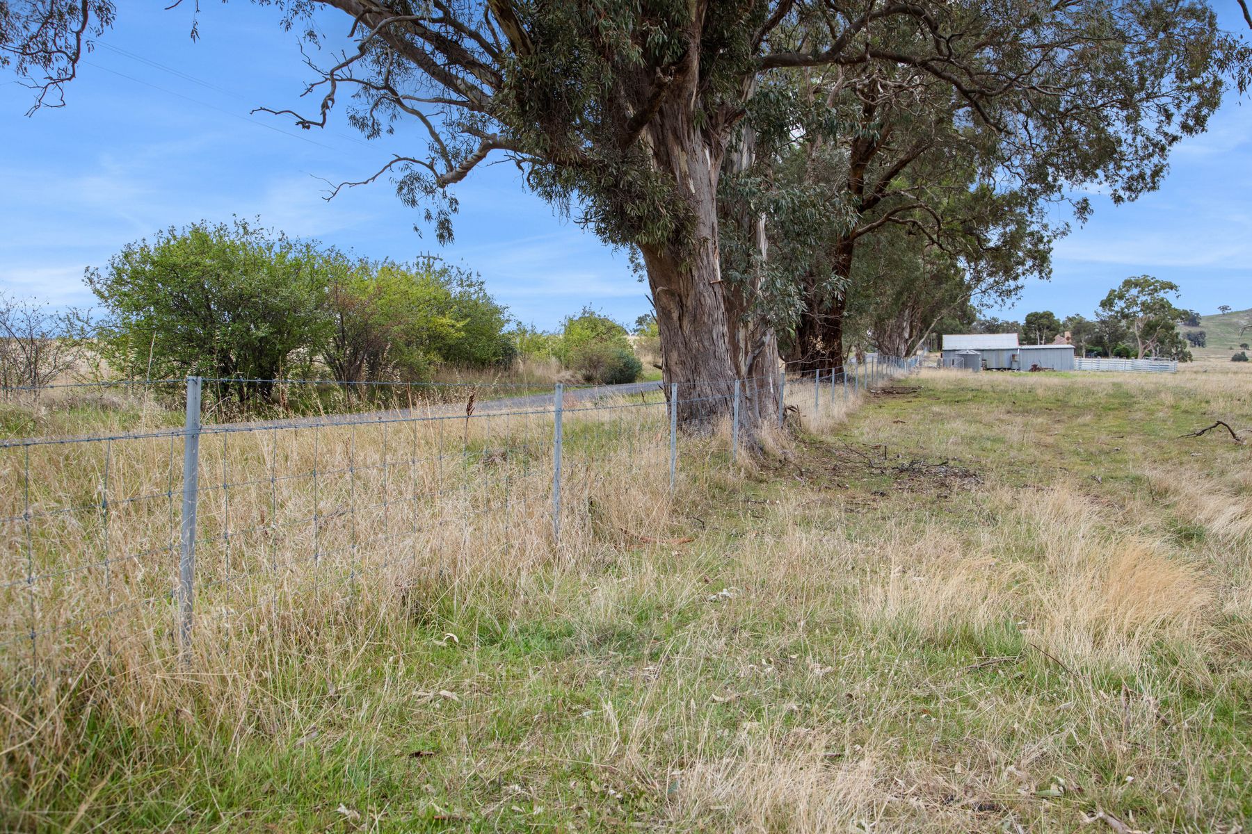 4 Franklings Road, Harcourt North VIC 3453, Harcourt North - Thumbnail 5