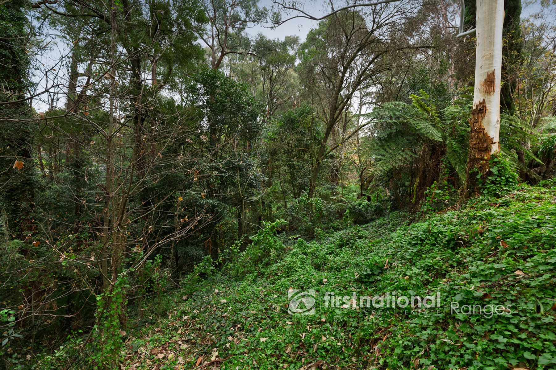 21-25 McAllister Road, Monbulk VIC 3793, Monbulk - Thumbnail 7