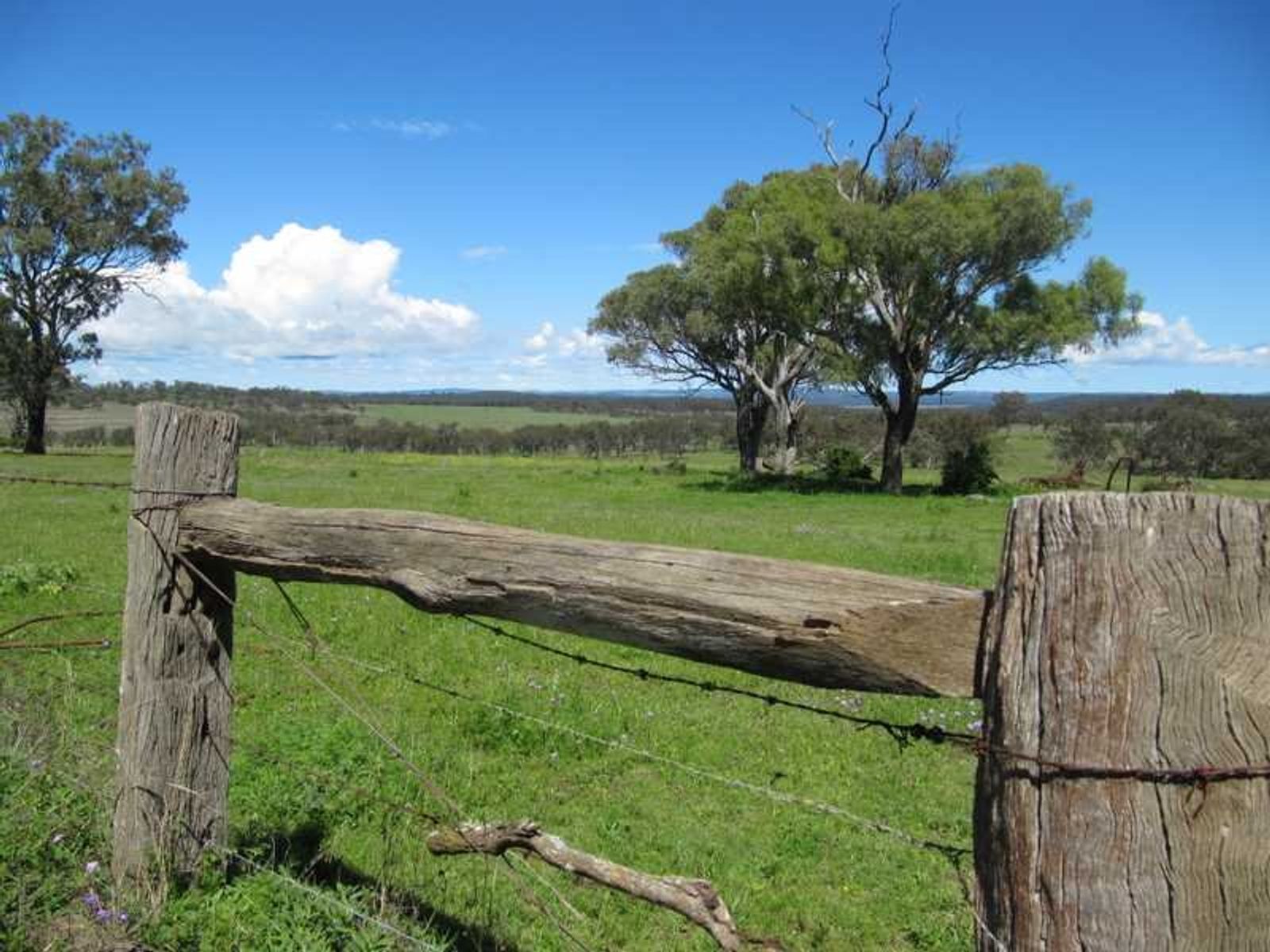 Warwick QLD 4370, Warwick - Thumbnail 4