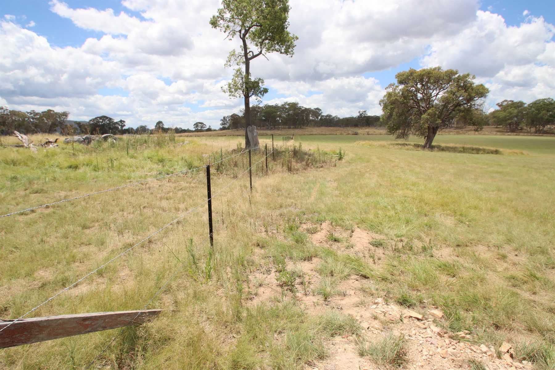 110B Sunnyside Platform Road, Tenterfield NSW 2372, Tenterfield - Thumbnail 6