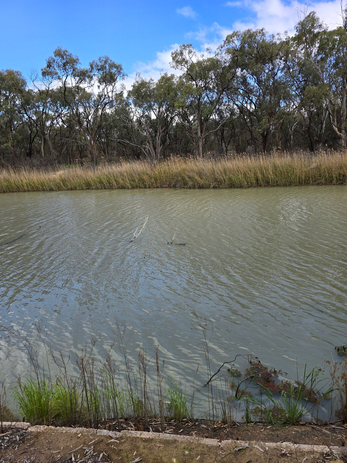 Lot 5 River Drive, Paisley SA 5357, Paisley - Thumbnail 7
