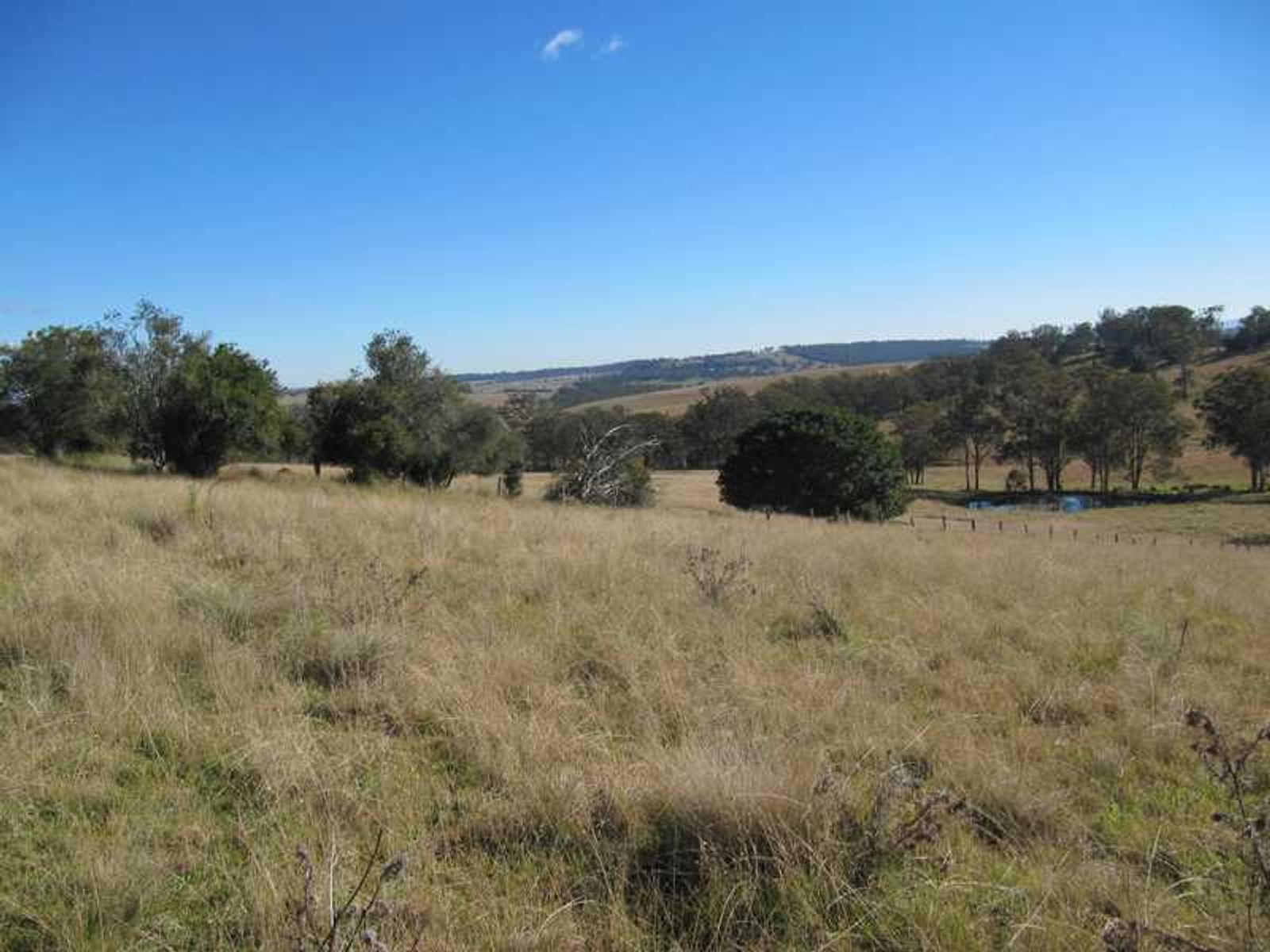 Barlows Gate Road QLD 4373, Barlows Gate Road - Thumbnail 5