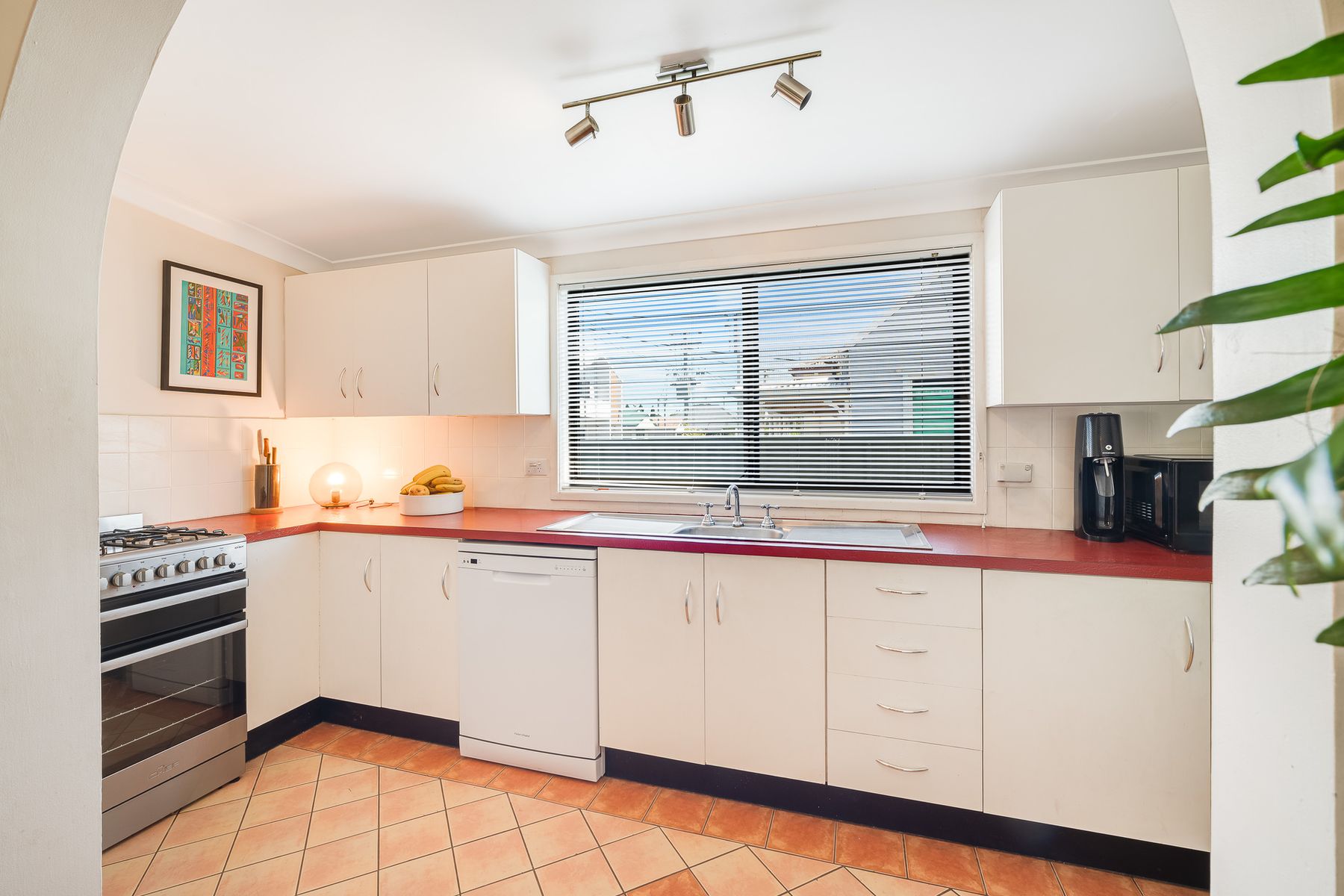 12 Victoria Street, Adamstown NSW 2289, Adamstown - Thumbnail 6
