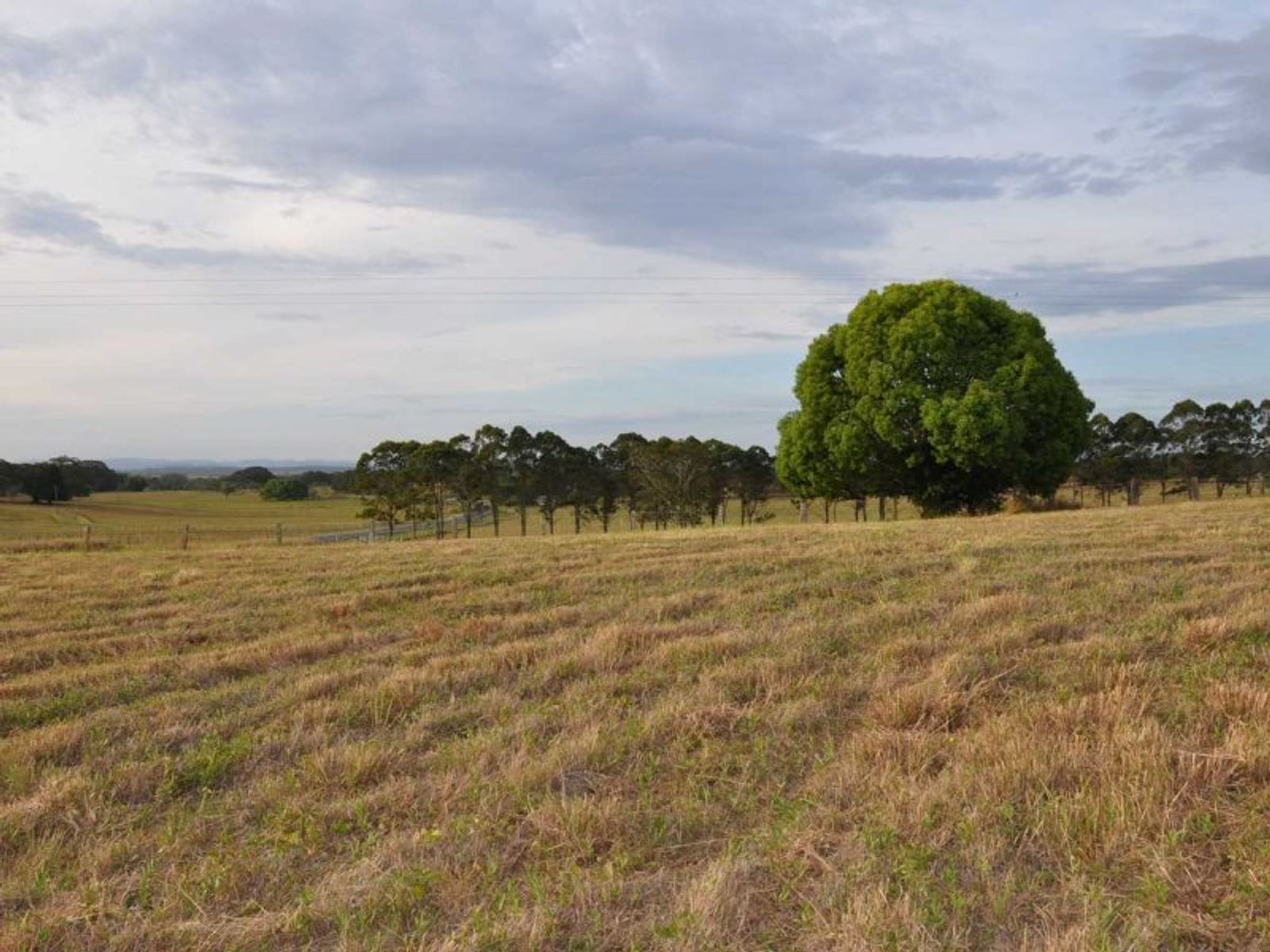 3 View St, Fairy Hill - Thumbnail 5