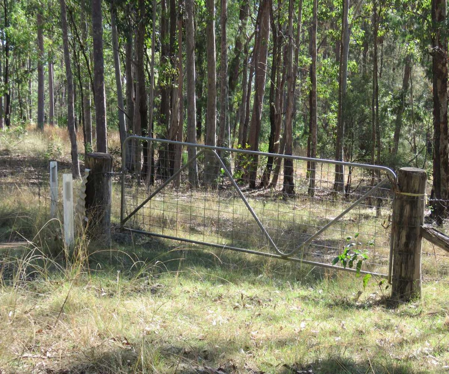 Lots 24 & 27 Deadman Creek Road, Tabulam, Tabulam - Thumbnail 6