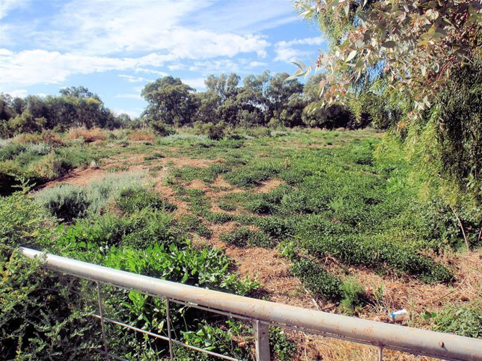 Lot 2 Cureton Avenue, Mildura - Thumbnail 4