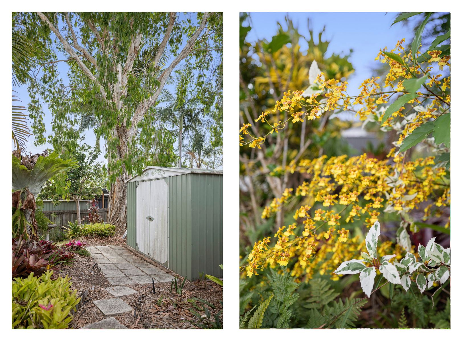 18 James Cook Drive, Sippy Downs QLD 4556, Sippy Downs - Thumbnail 5