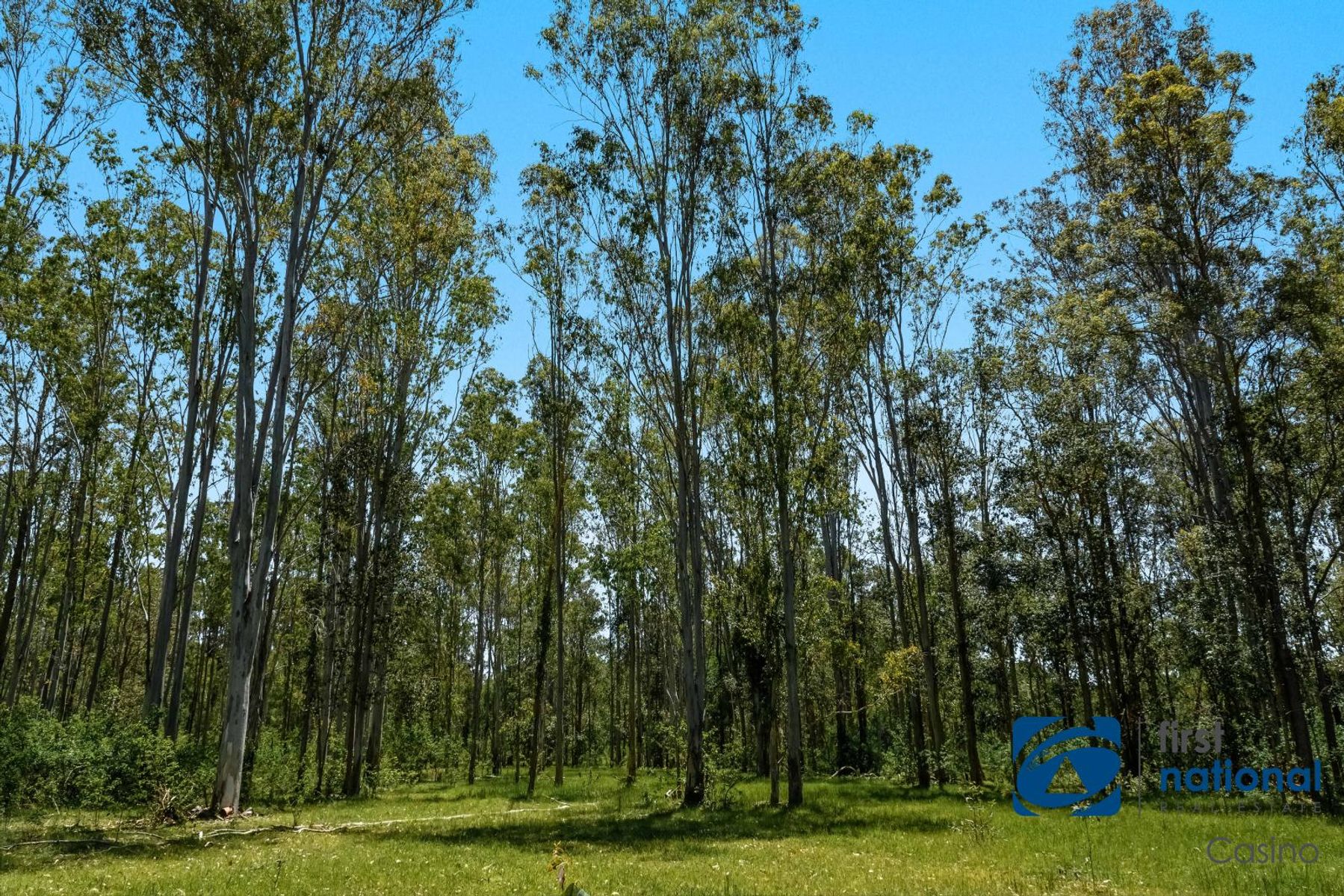 Lot 2/1270 Mongogarie Road, Mongogarie NSW 2470, Mongogarie - Thumbnail 8