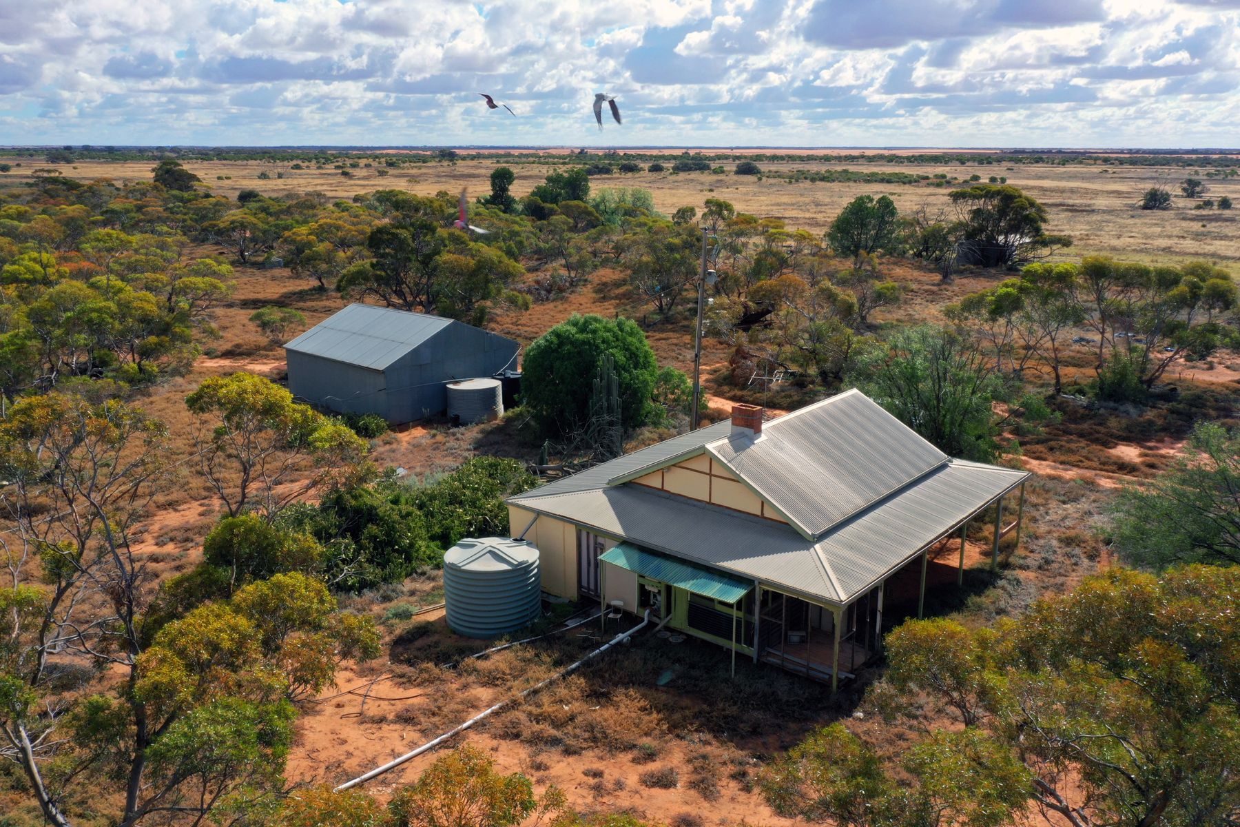 CA65/1444 Pirlta South Road, Merrinee - Thumbnail 3