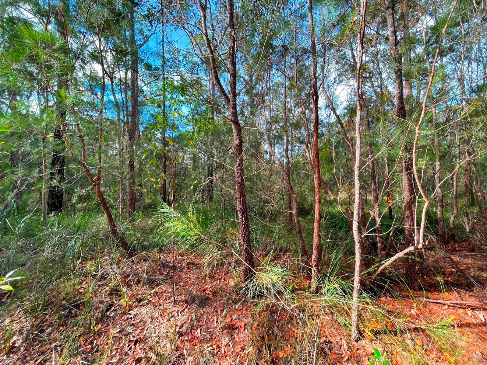 Lot 313-314 Glen innes Road, North Arm Cove NSW 2324, North Arm Cove - Thumbnail 3