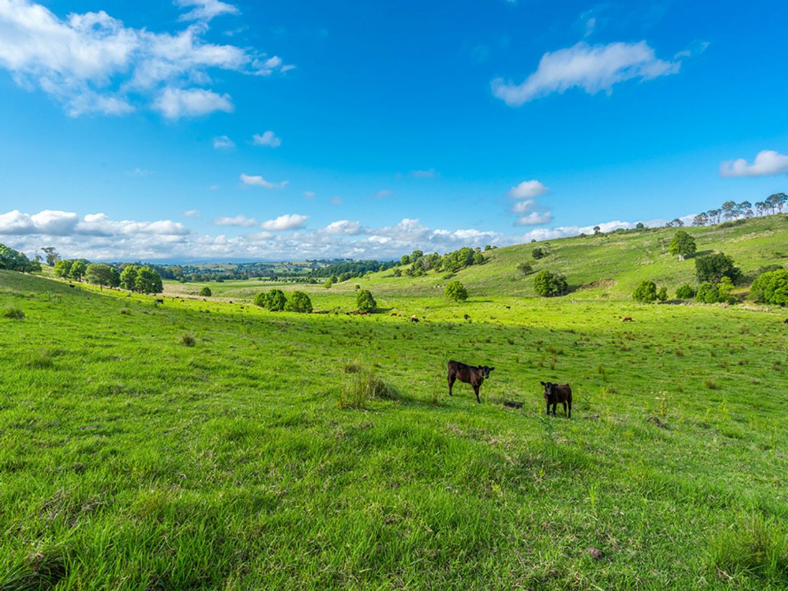 15 Roseview Road, McLeans Ridges - Thumbnail 8