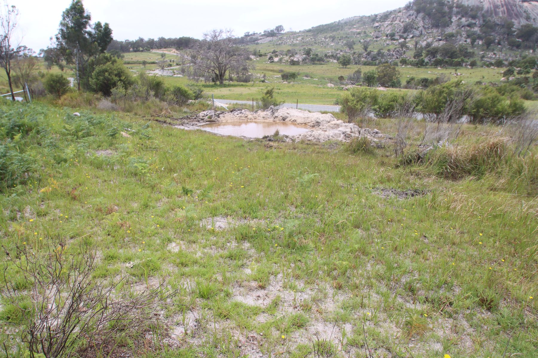 Lot 21 Kildare Road, Tenterfield NSW 2372, Tenterfield - Thumbnail 5