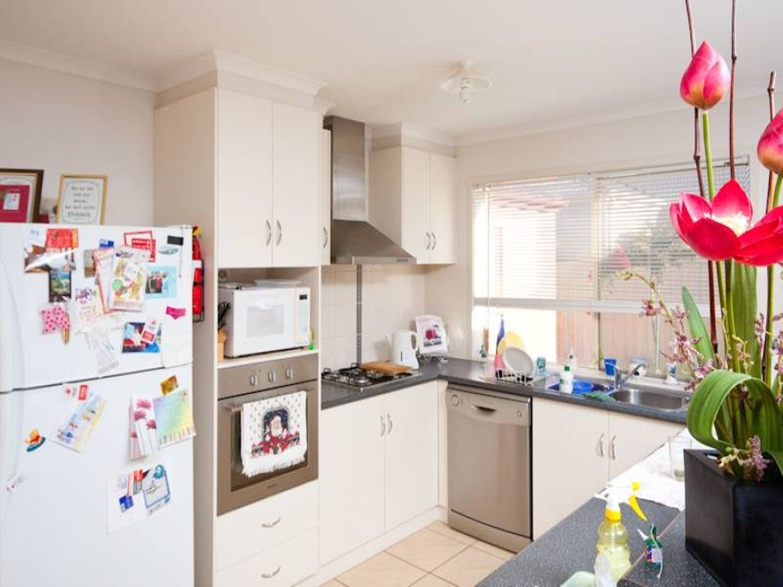 5 Chardonnay Drive, Mildura - Thumbnail 8