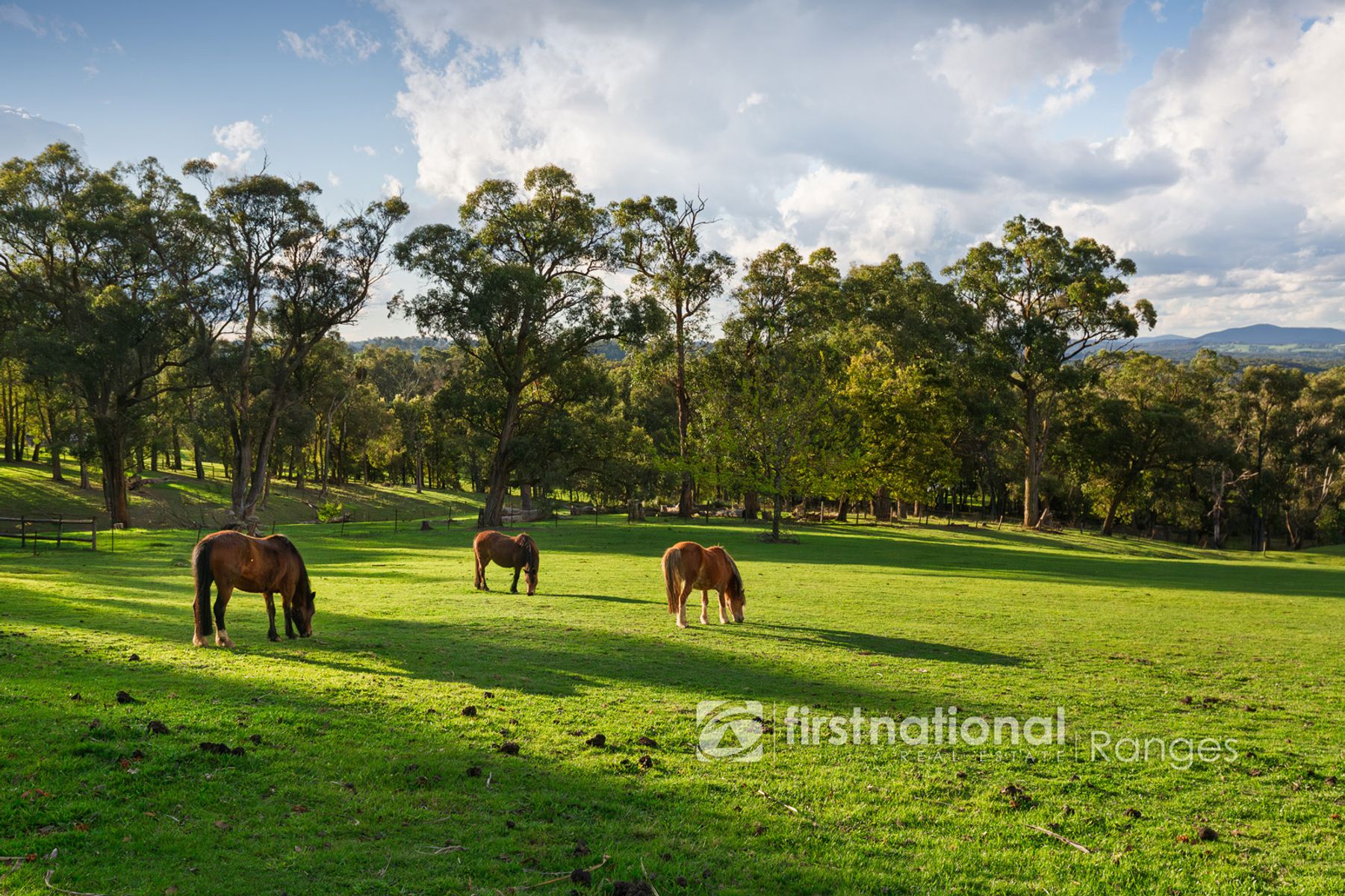 251 Tschampions Road, Macclesfield VIC 3782, Macclesfield - Thumbnail 4