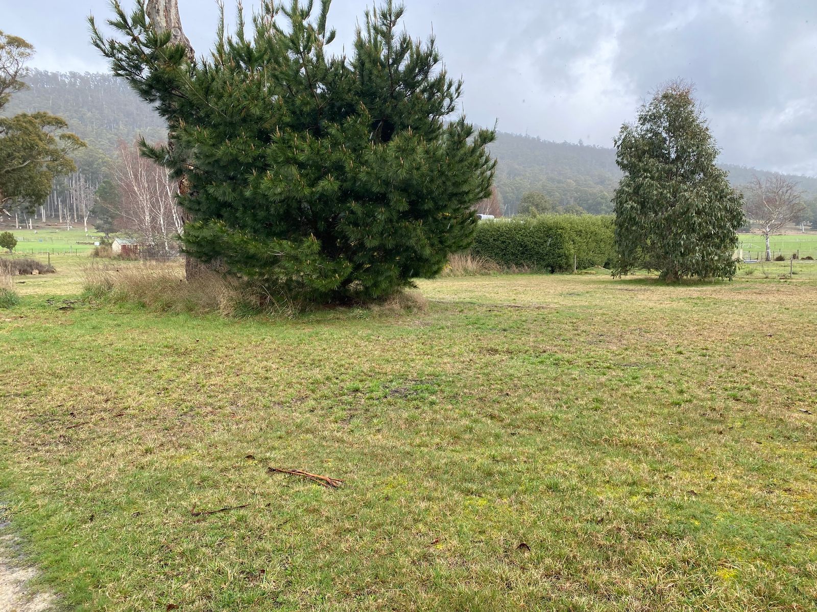 43 Union Bridge Road, Mole Creek TAS 7304, Mole Creek - Thumbnail 5