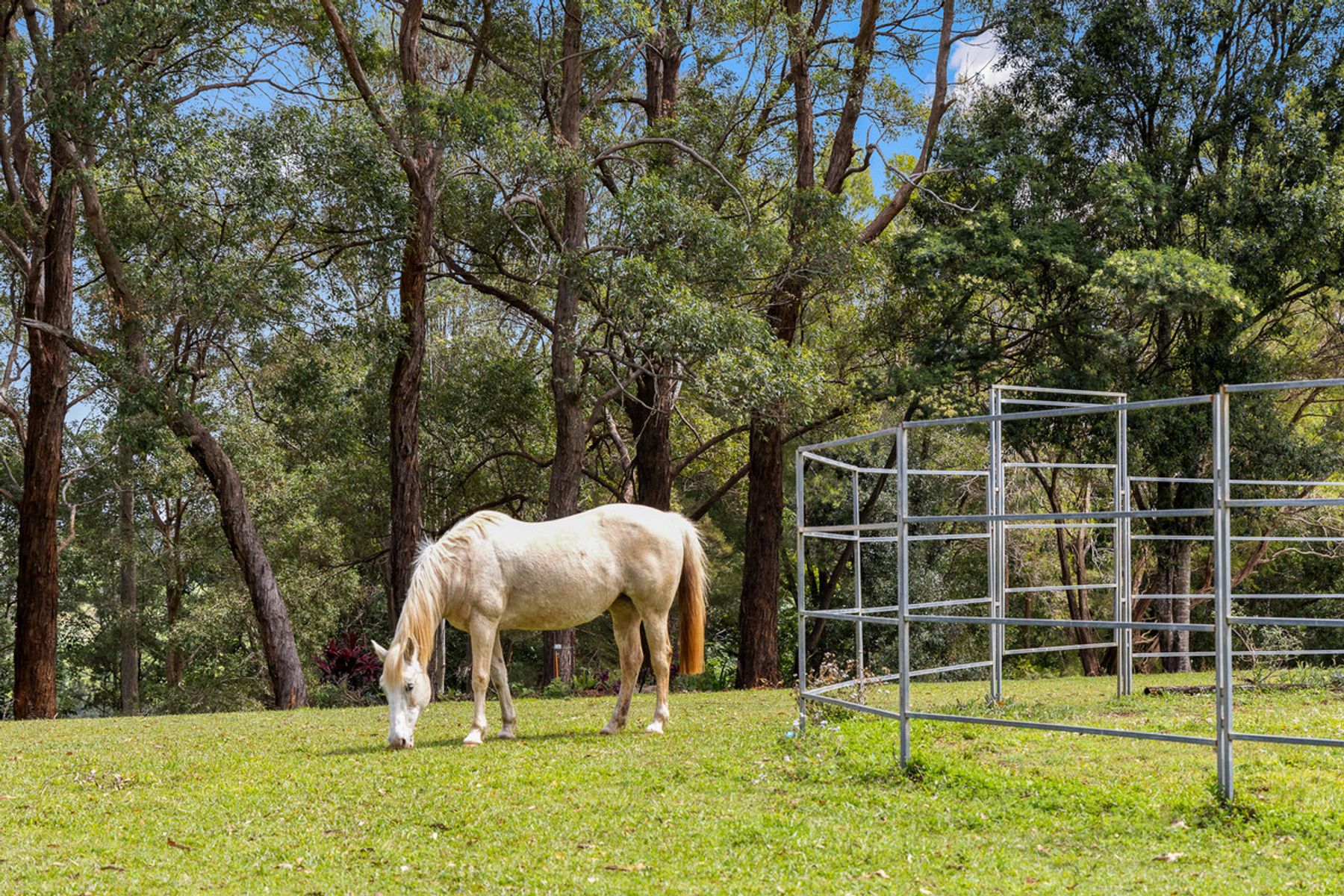 33 Irambang Street, Nelson Bay NSW 2315, Nelson Bay - Thumbnail 2