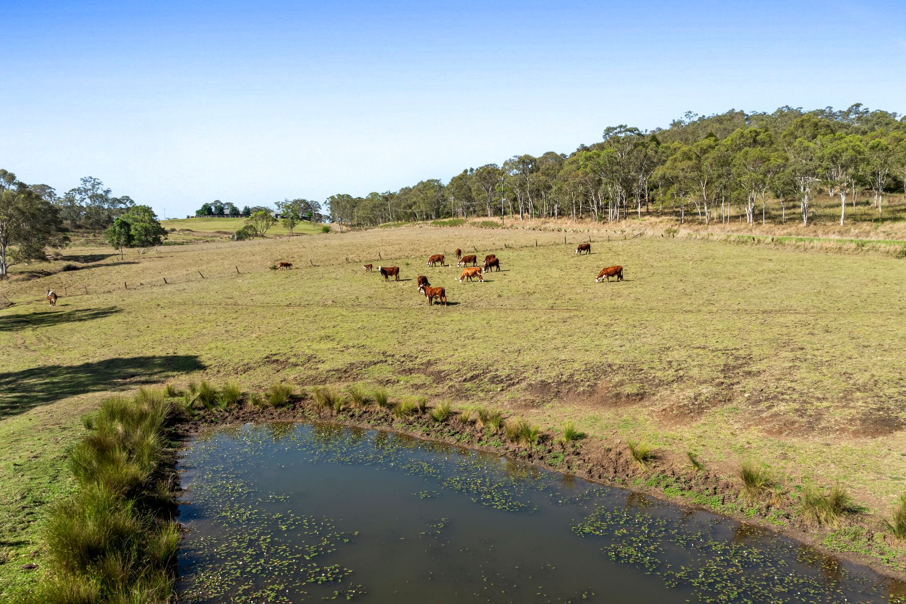 394 Preston Boundary Road, Preston QLD 4352, Preston - Thumbnail 8