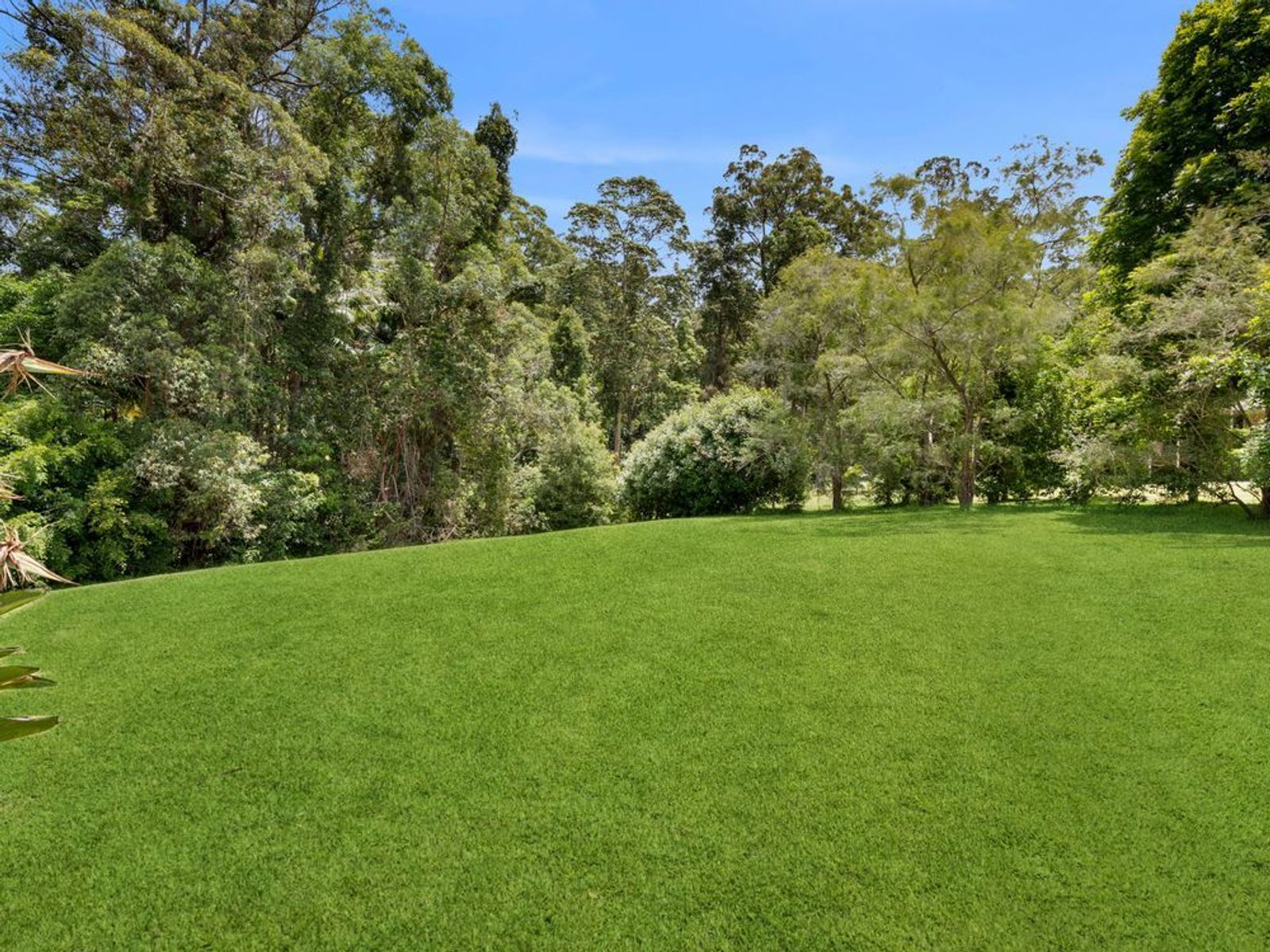 21 Rodeo Court, Moonee Beach NSW 2450, Moonee Beach - Thumbnail 7