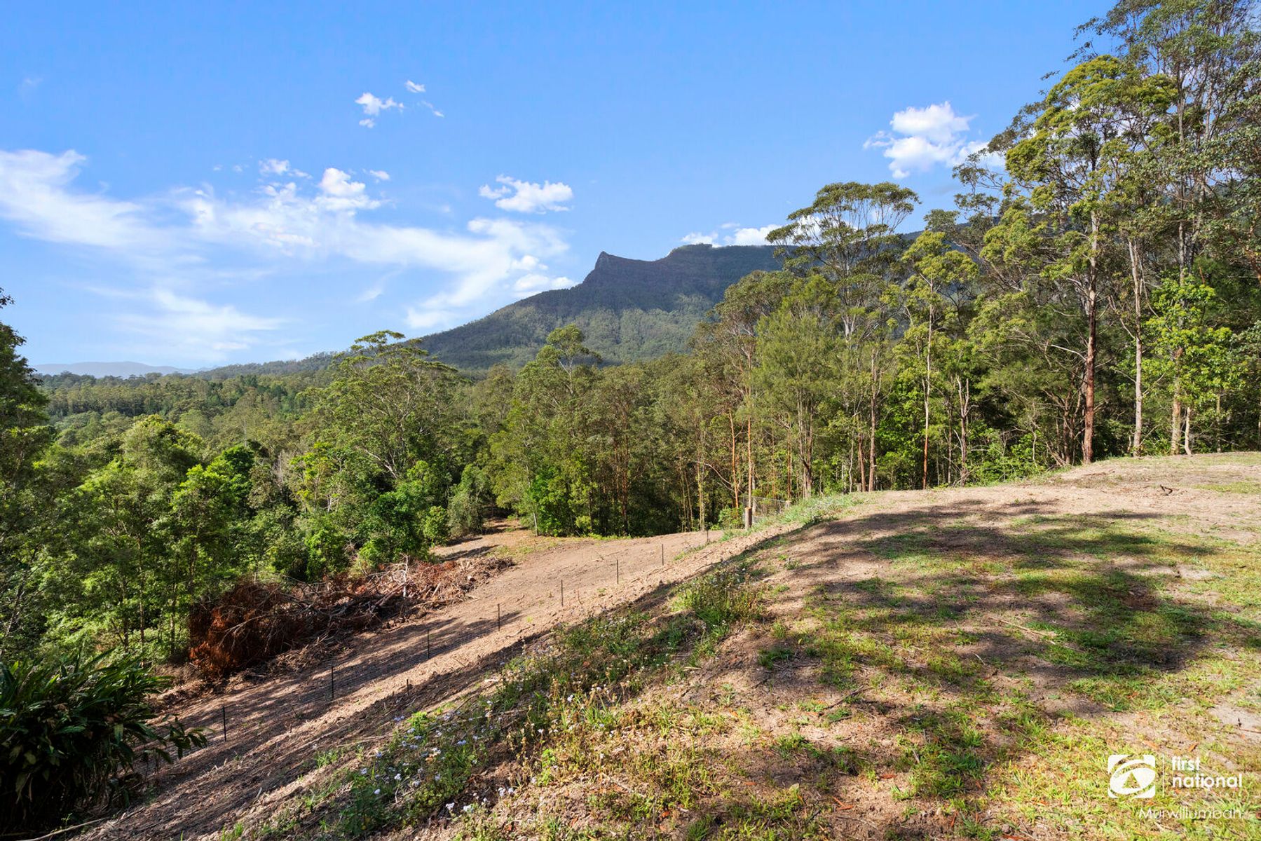 185 Everinghams Road, Pumpenbil NSW 2484, Pumpenbil - Thumbnail 6